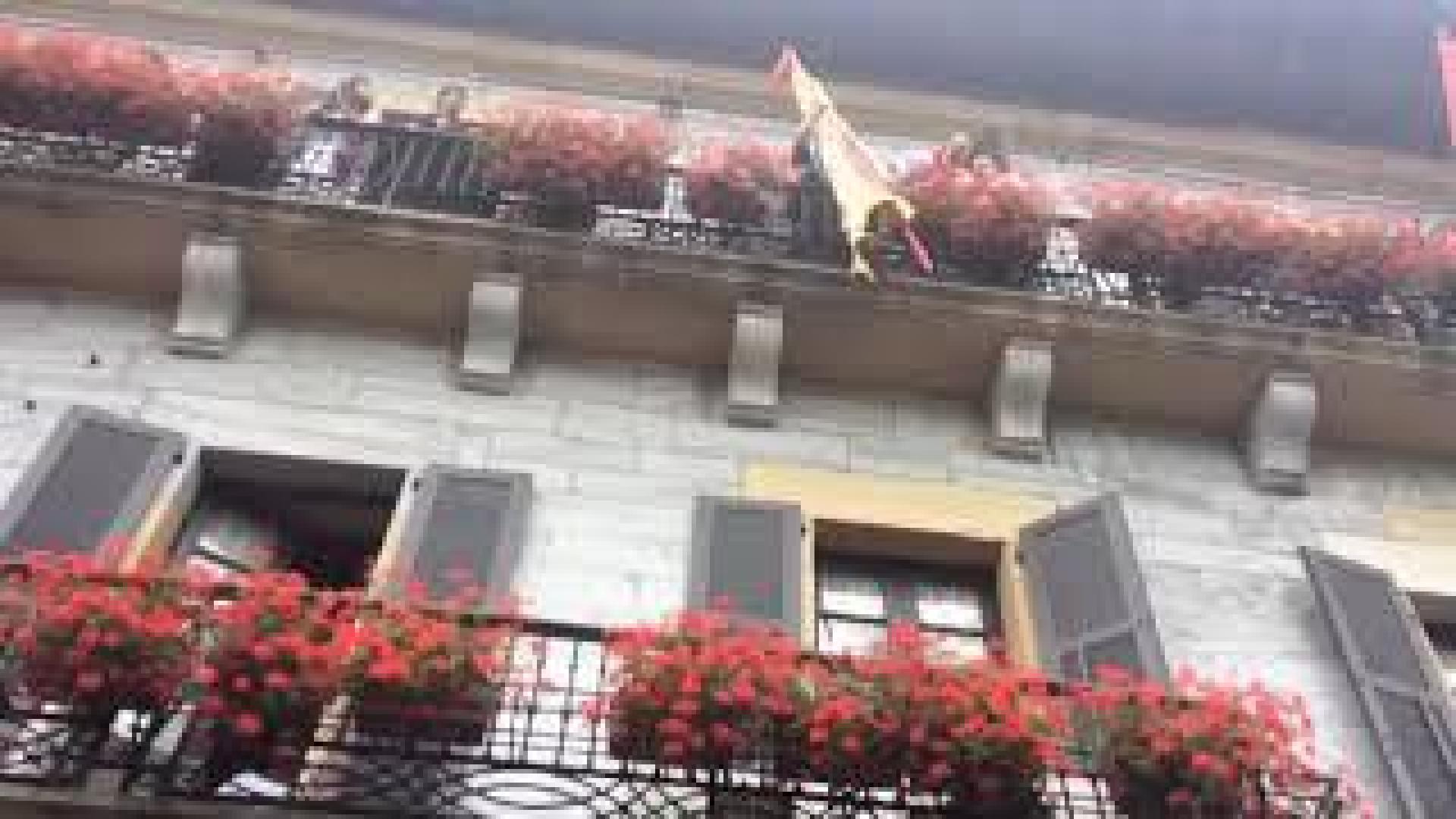 Alzado de la bandera al balcón consistorial de Lesaka