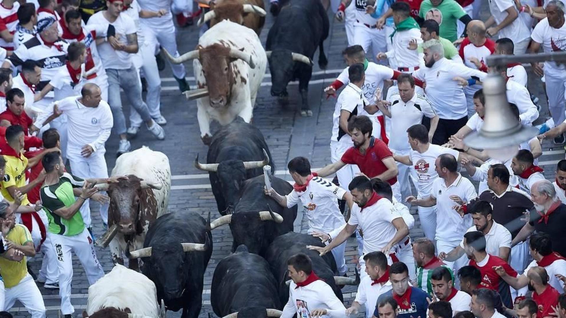 Imágenes del cuarto encierro de los sanfermines 2019 protagonizado por toros de Jandilla.