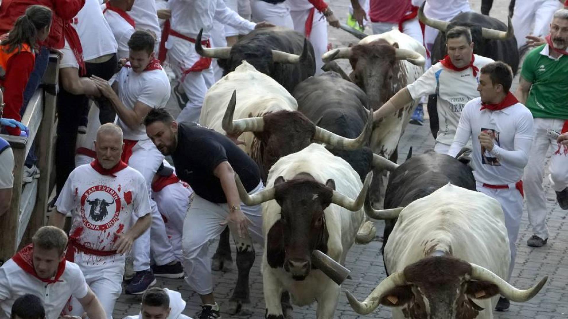 Polémicos 'bravos' mansos