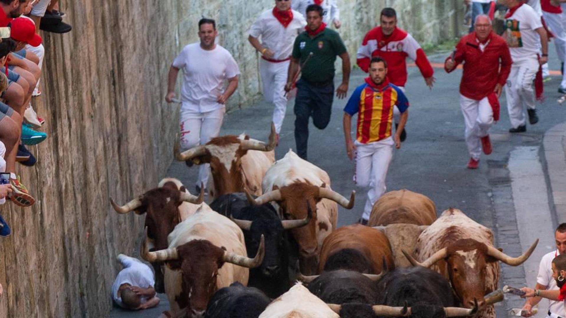 La rebelión de los mansos
