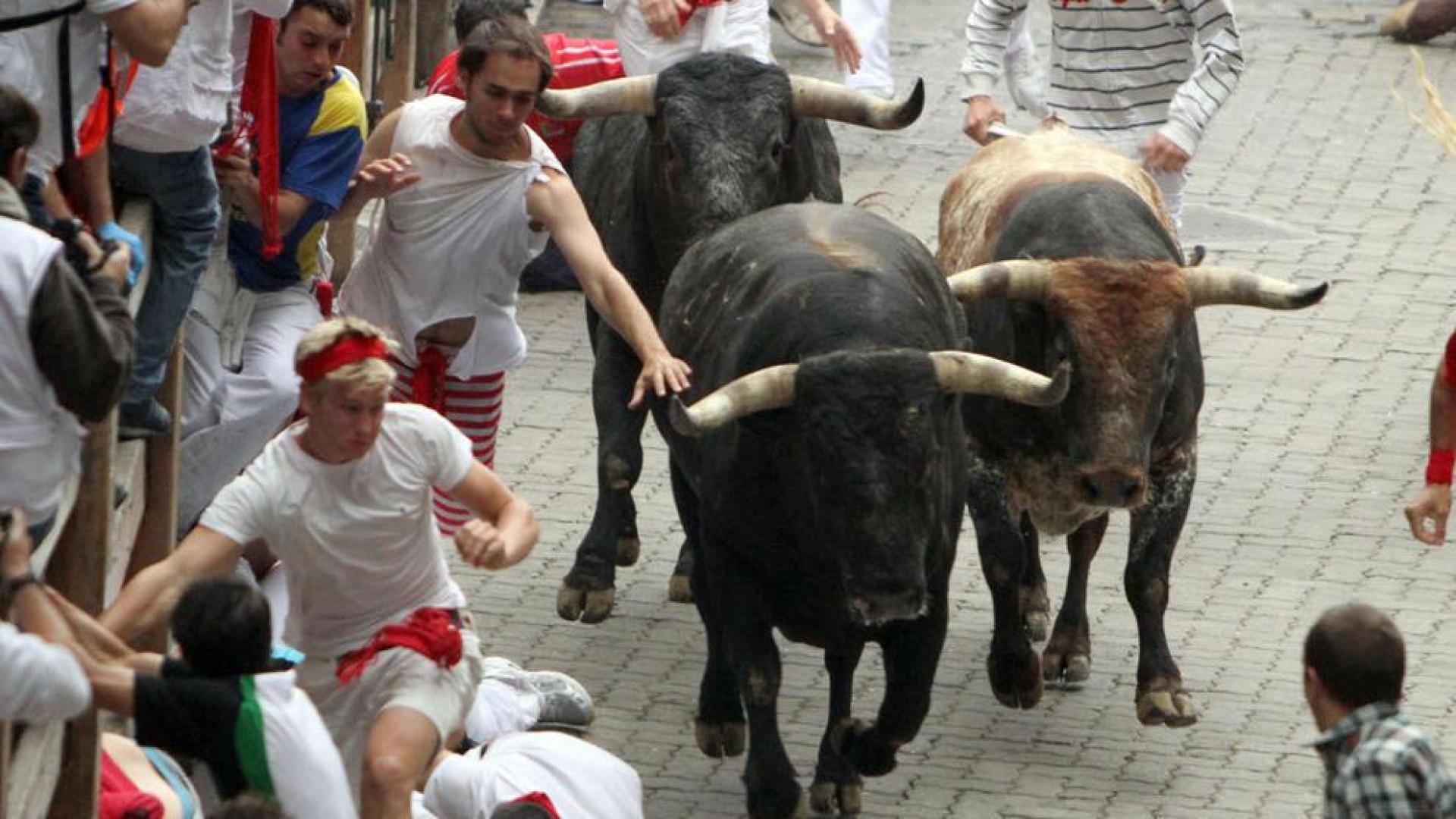 Los Miura, en el callejón, en el encierro de 2011