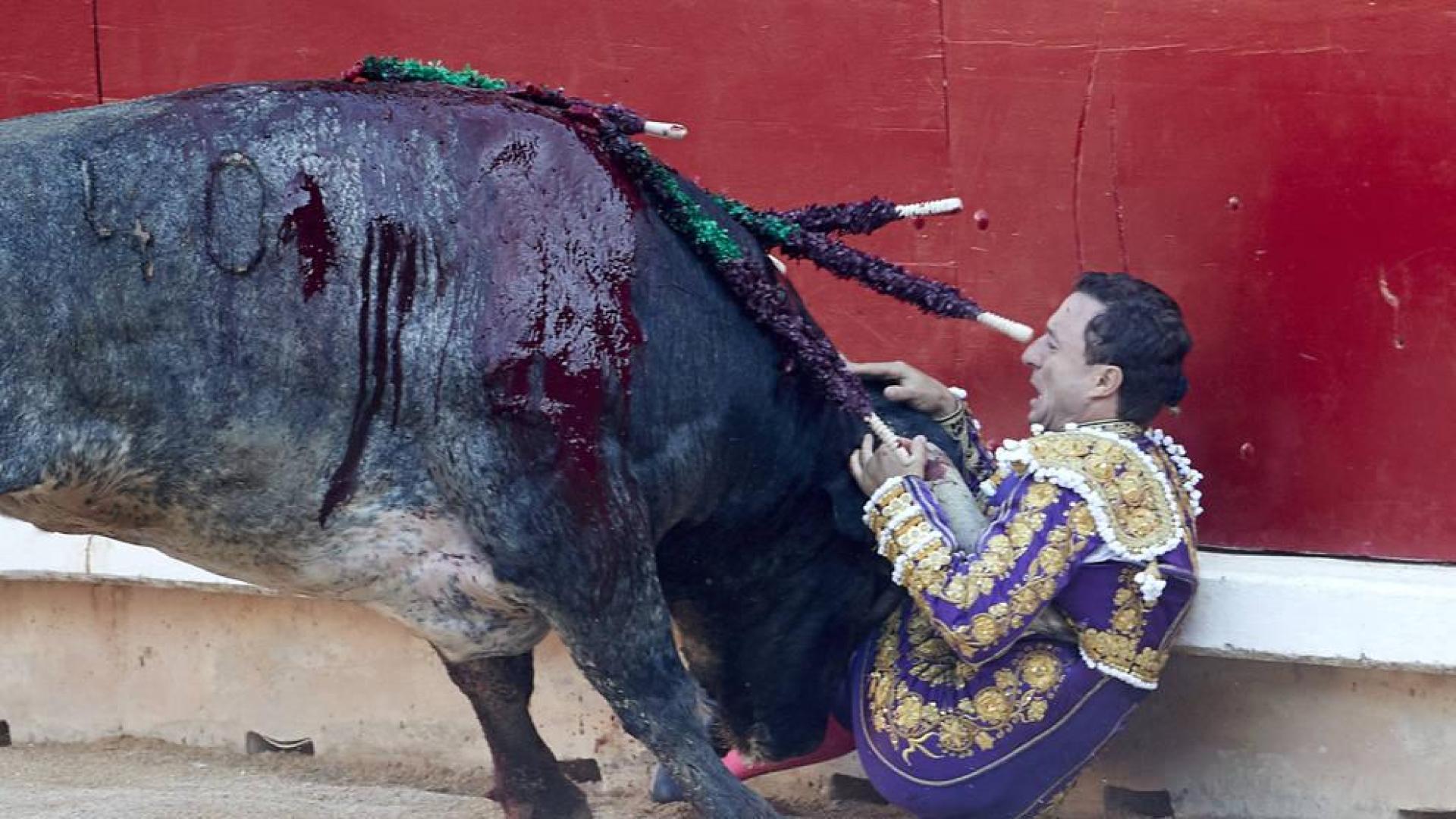 Rafaelillo, herido grave por una cornada en hemitórax izquierdo