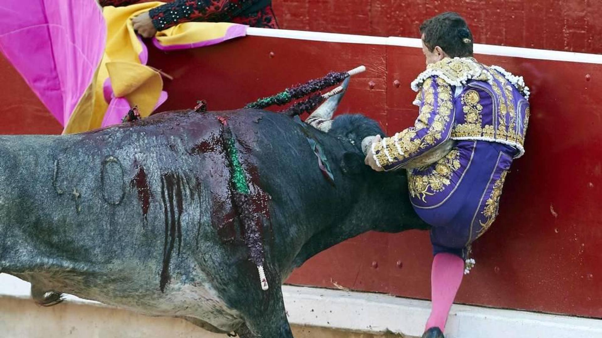 El torero ha sido atendido en la enfermería de la plaza de "una cornada envainada en el hemitórax izquierdo y múltiples fracturas costales"