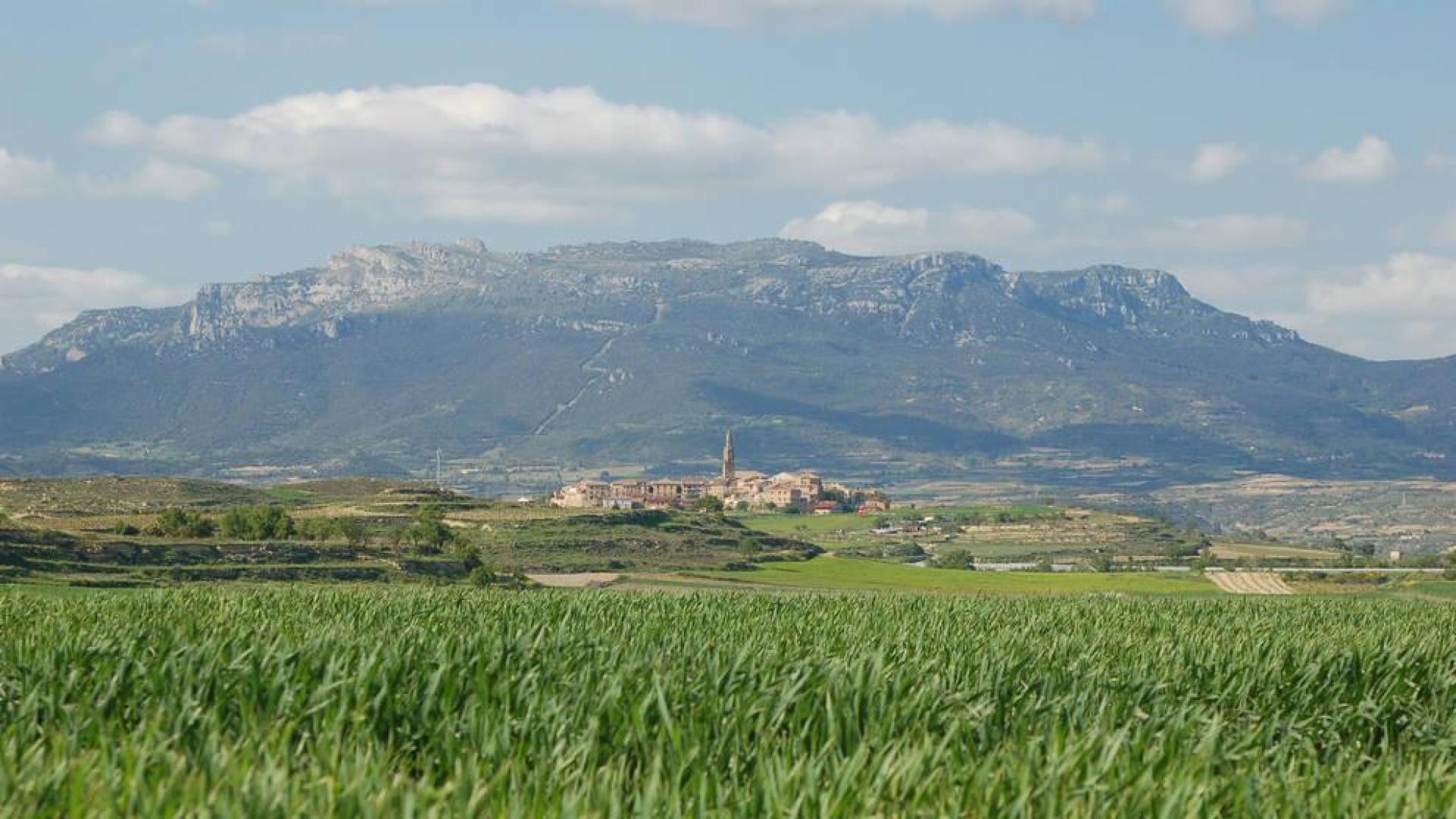 Briones, donde yace la perfección.