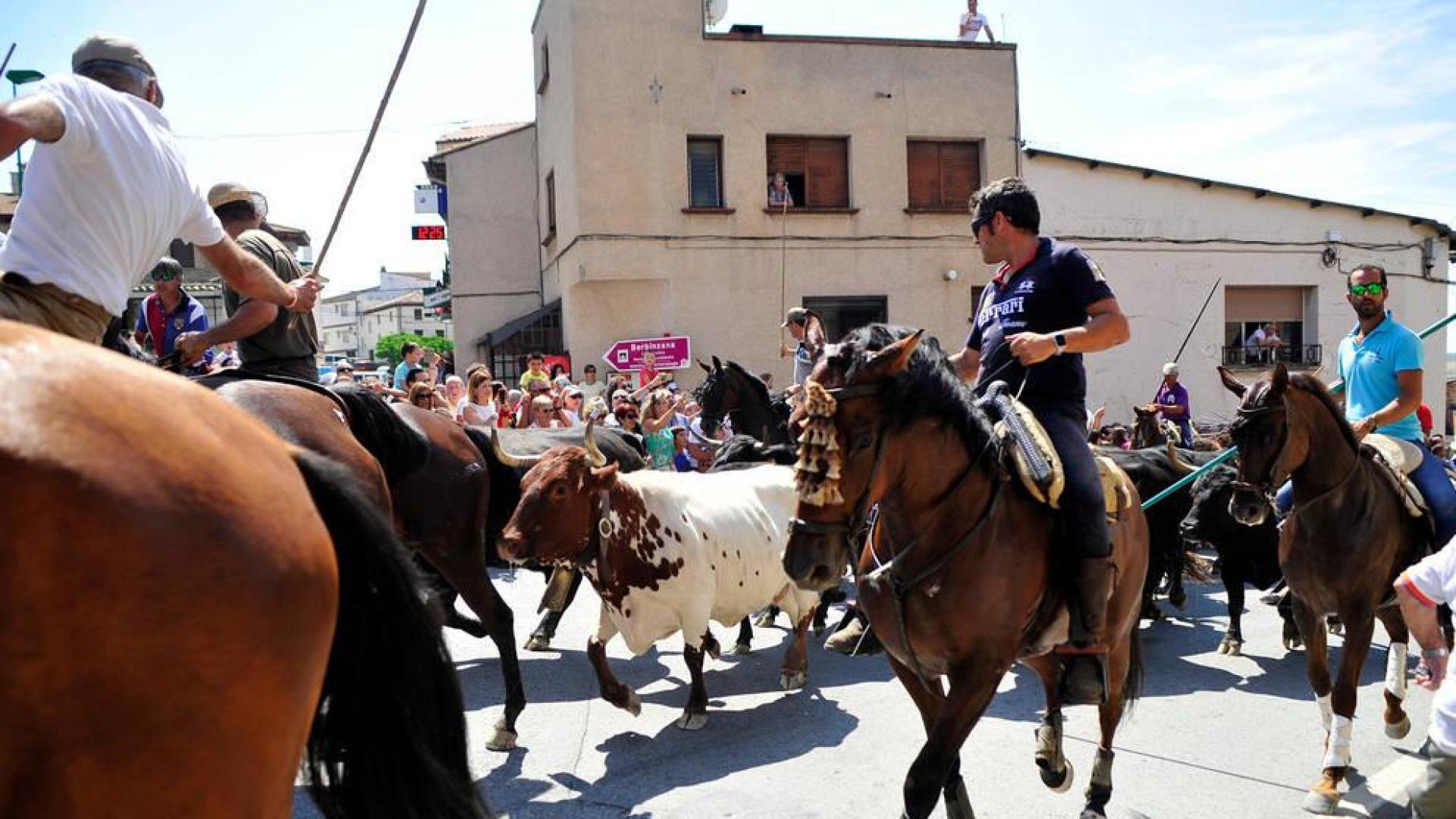 Larraga homenajeará a la vaca brava el domingo 28
