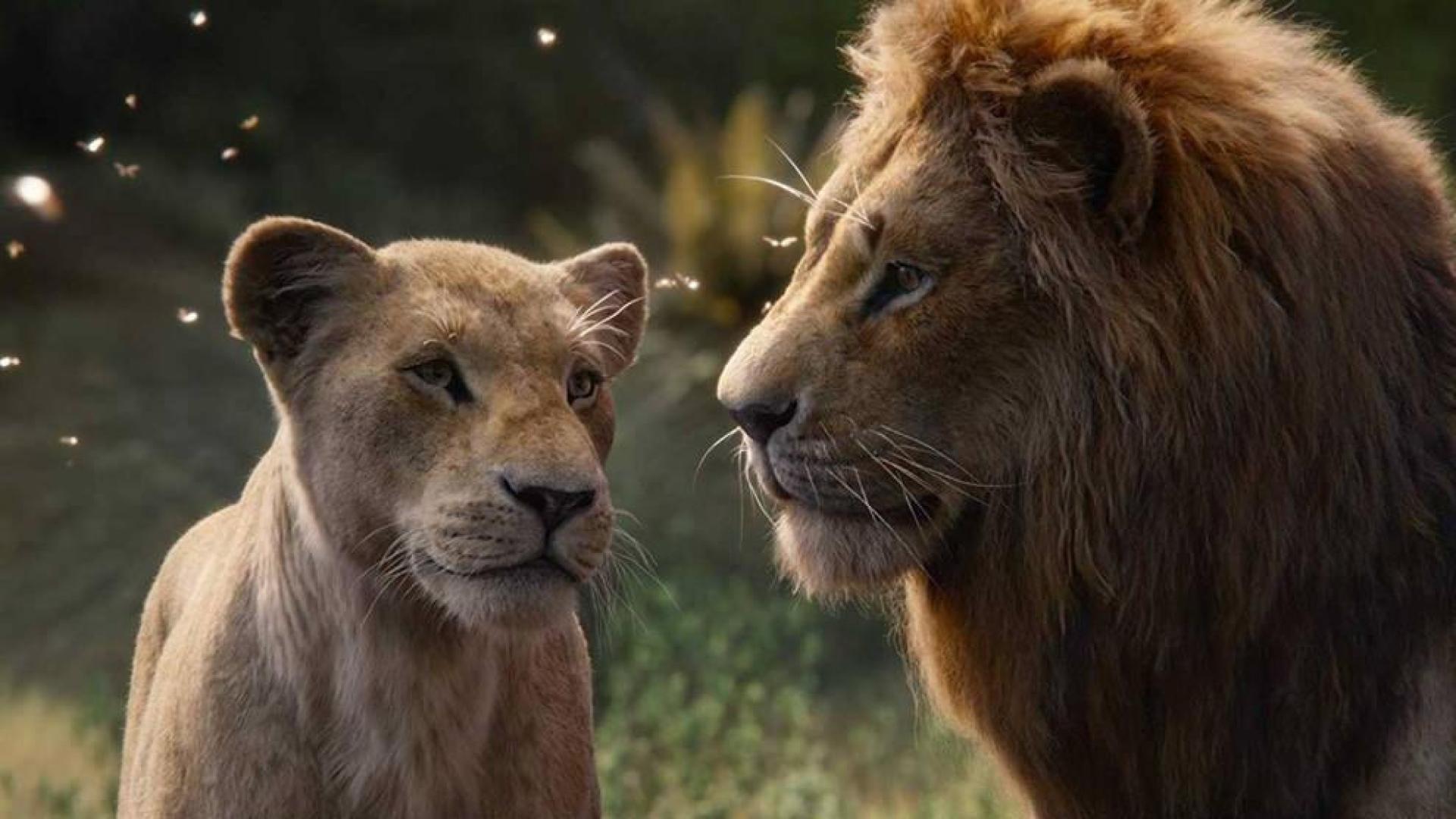 Fotograma de la película 'El rey león'