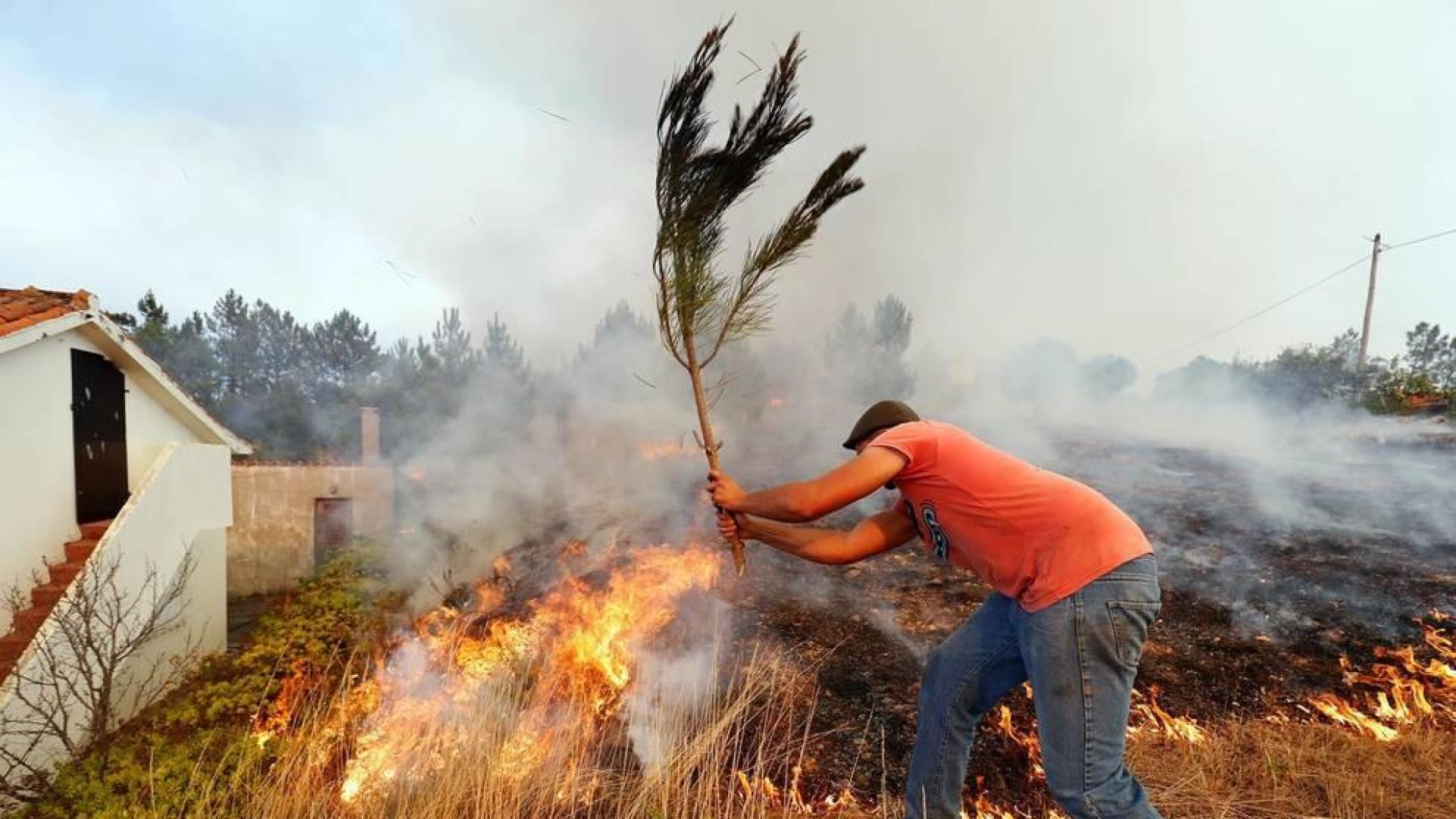 Las llamas superaron un perímetro de 50 kilómetros y unos 800 efectivos participaron en las labores de extinción del fuego.