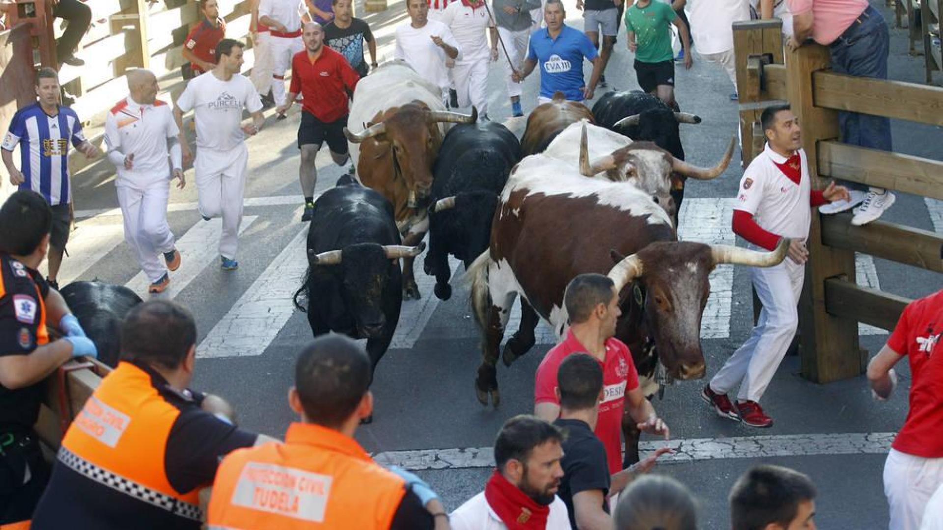 Tudela ampliará el número de desfibriladores en sus encierros