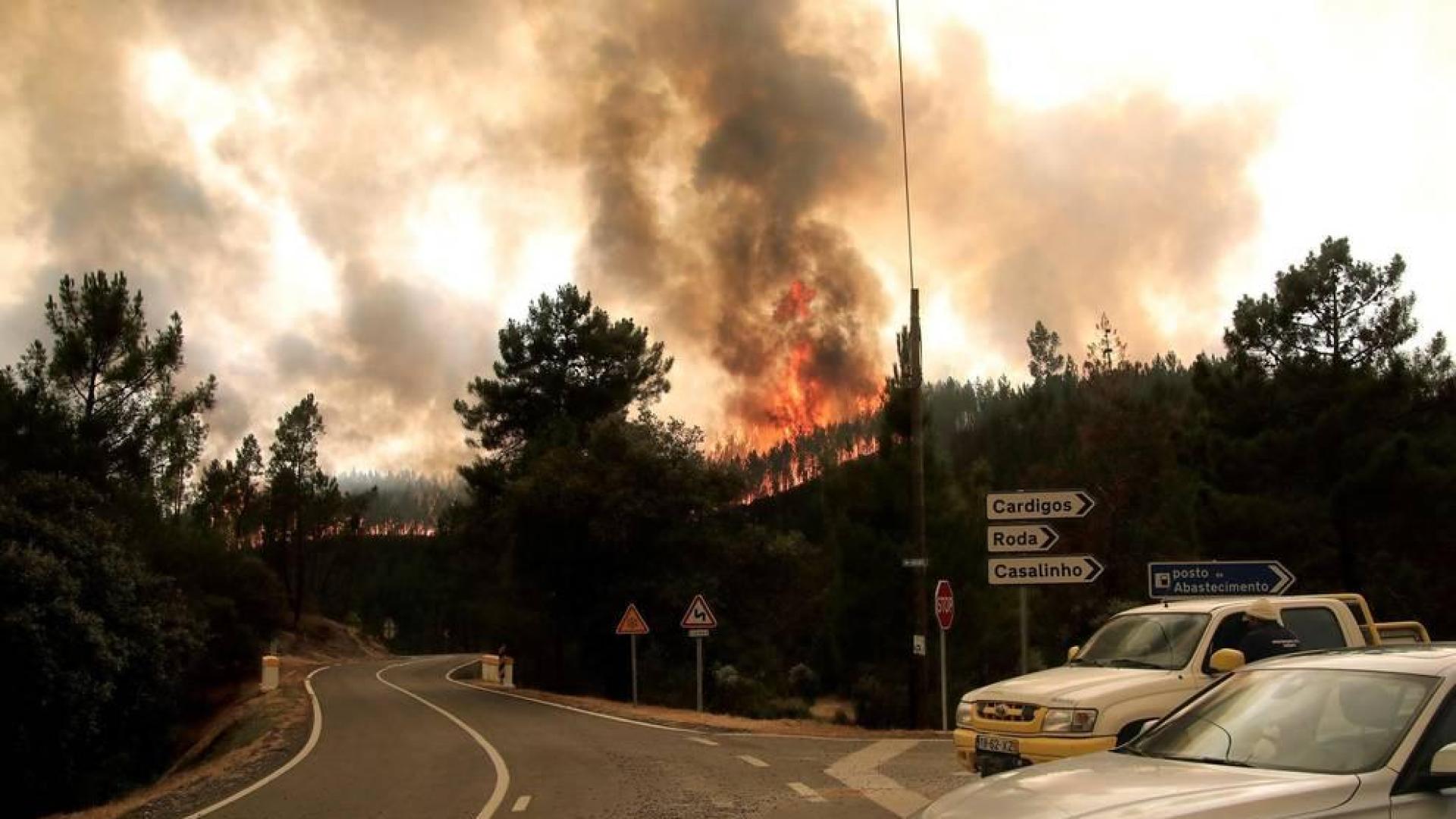 Las llamas superaron un perímetro de 50 kilómetros y unos 800 efectivos participaron en las labores de extinción del fuego.