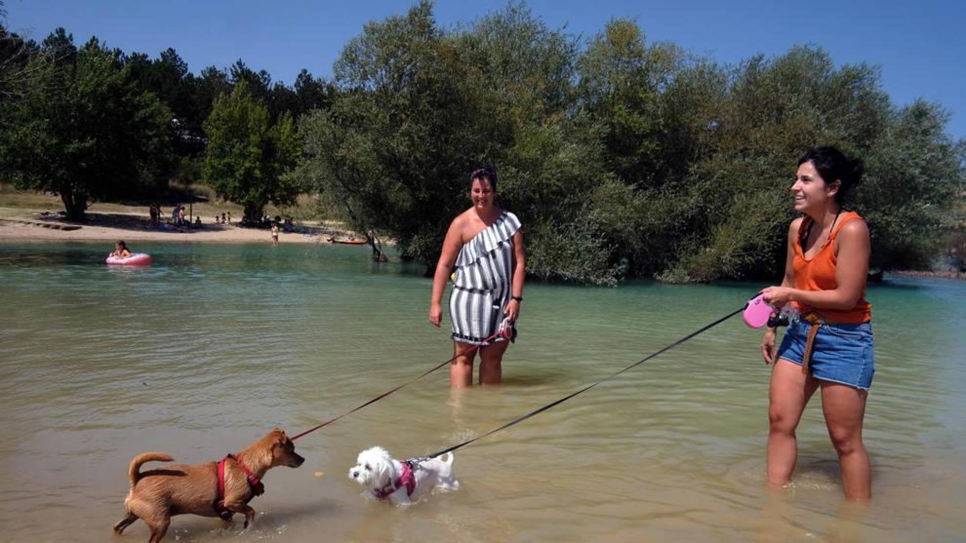 Maider y Verónica, que no sabían nada de la nueva normativa, refrescándo en el embalse de Alloz a sus dos perros.