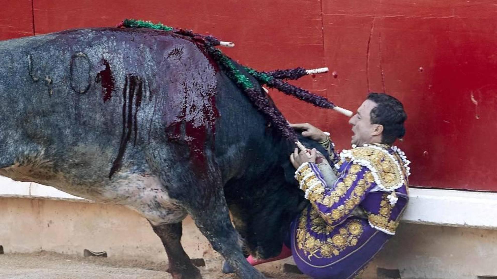 El torero ha sido atendido en la enfermería de la plaza de "una cornada envainada en el hemitórax izquierdo y múltiples fracturas costales"