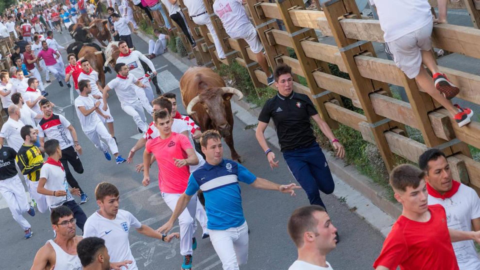 La manada pisotea a un mozo en el primer encierro de las fiestas de Tudela