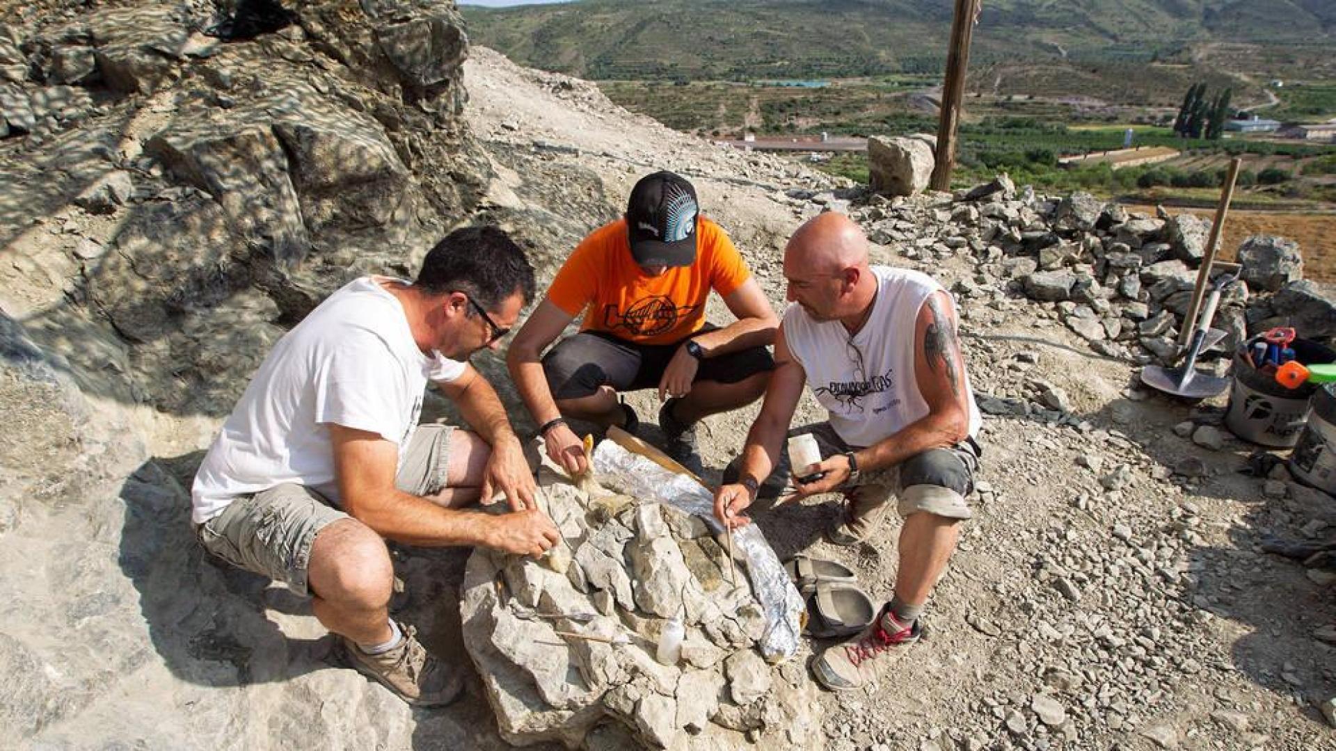 Ultiman la excavación de un espinosaurio de 120 millones de años en La Rioja
