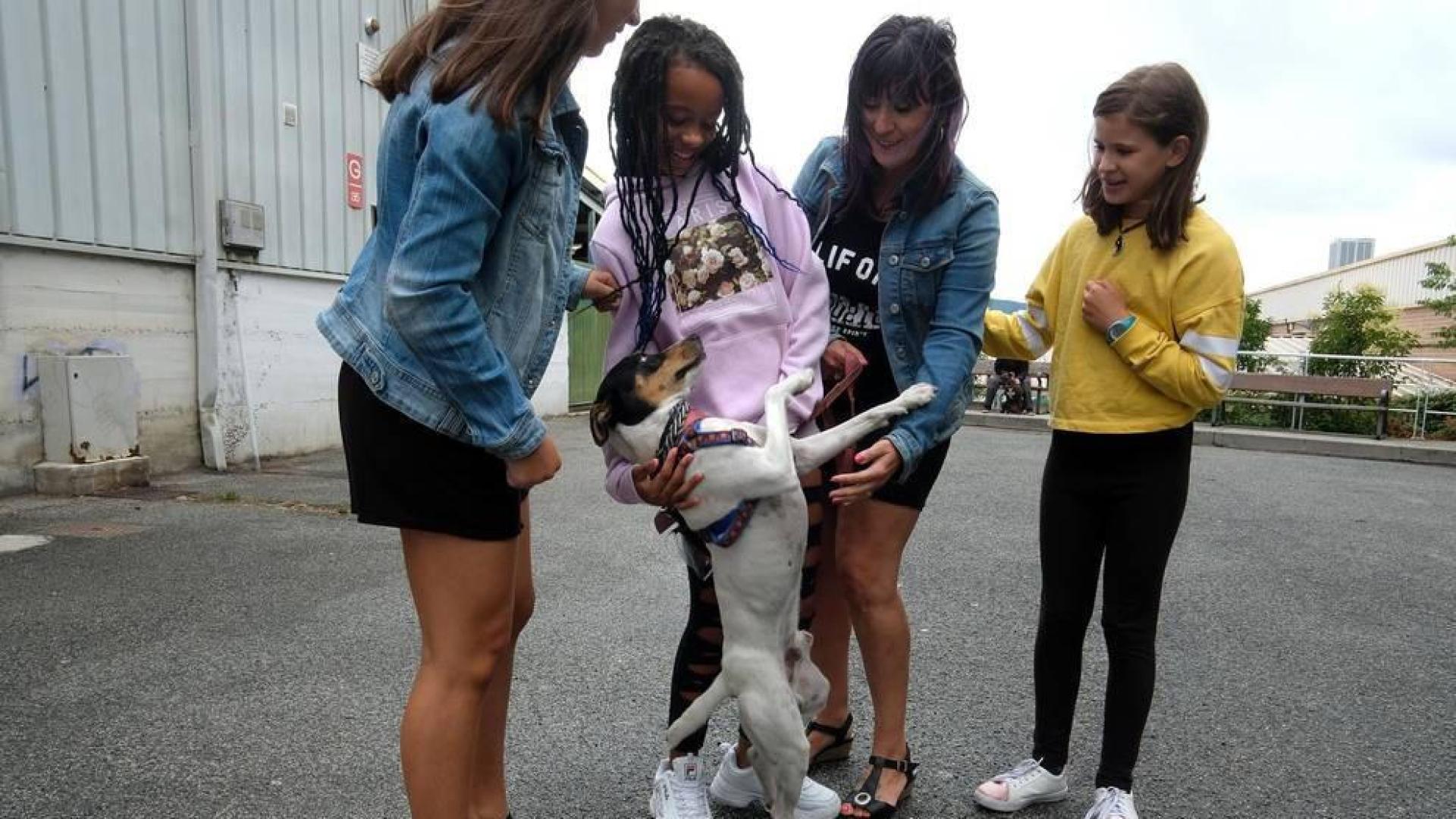 Curro ha encontrado un hogar en Berriozar