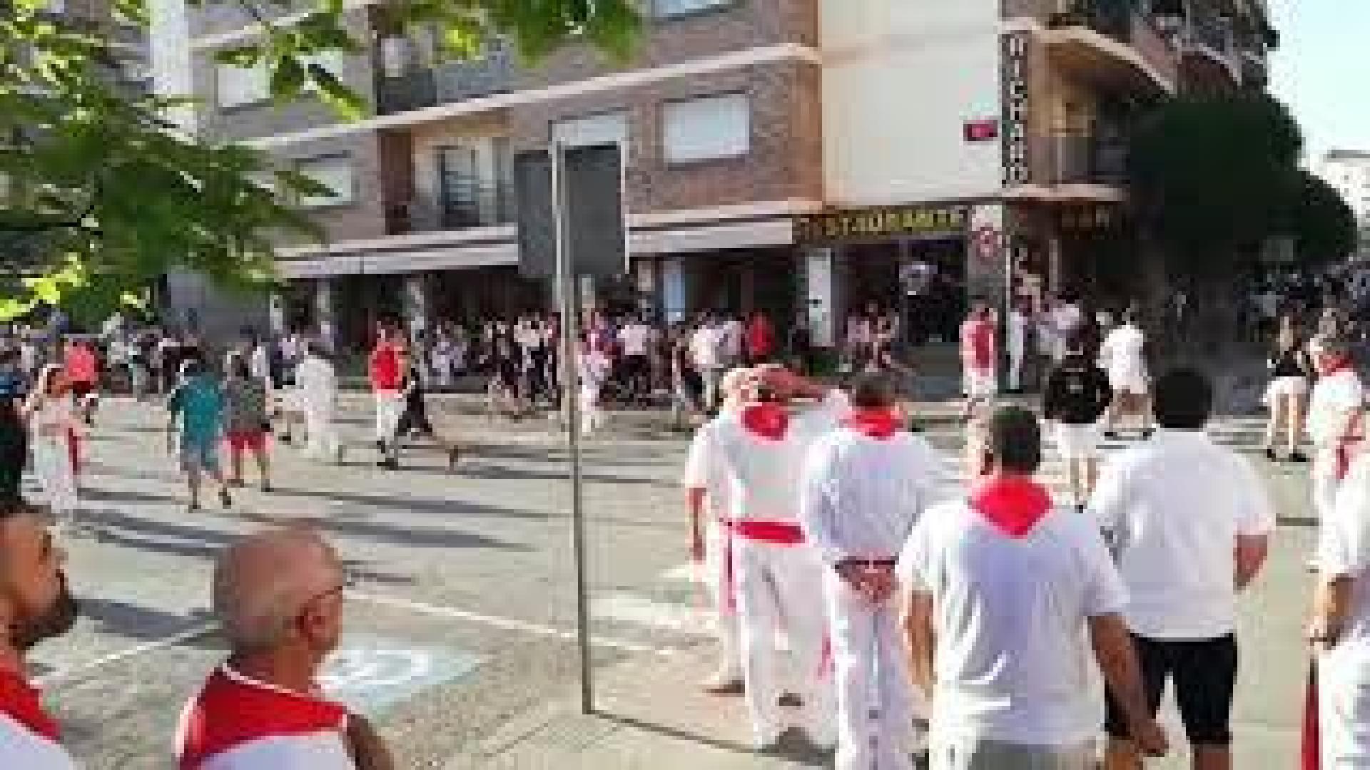 Segundo encierro de fiestas de Estella 2019 (I)
