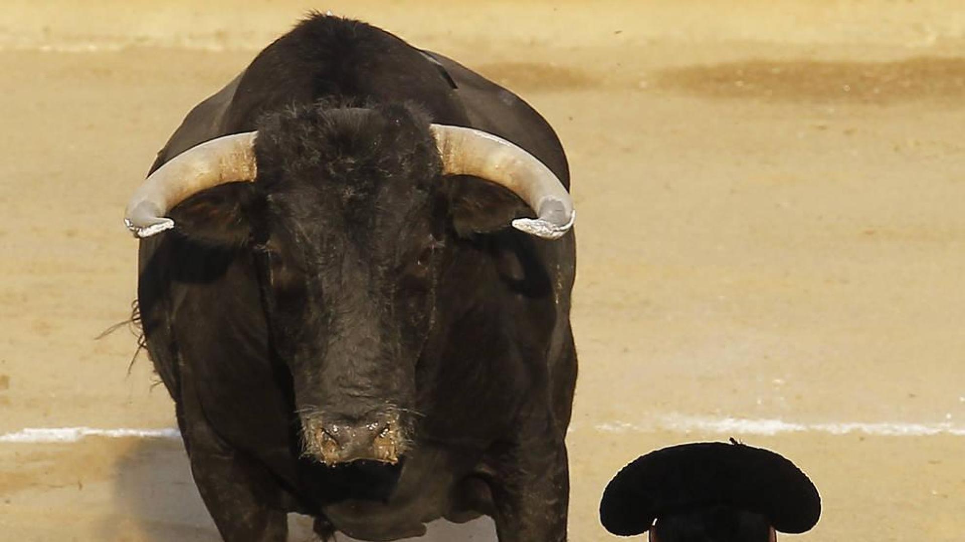 La bravura y Esaú triunfan en el coso estellés