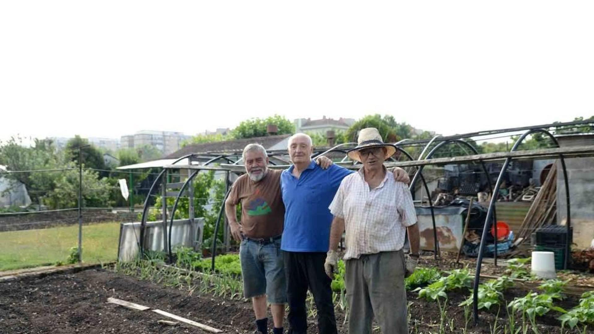 Huertos urbanos en Pamplona: Tomates propios y a un paso del centro