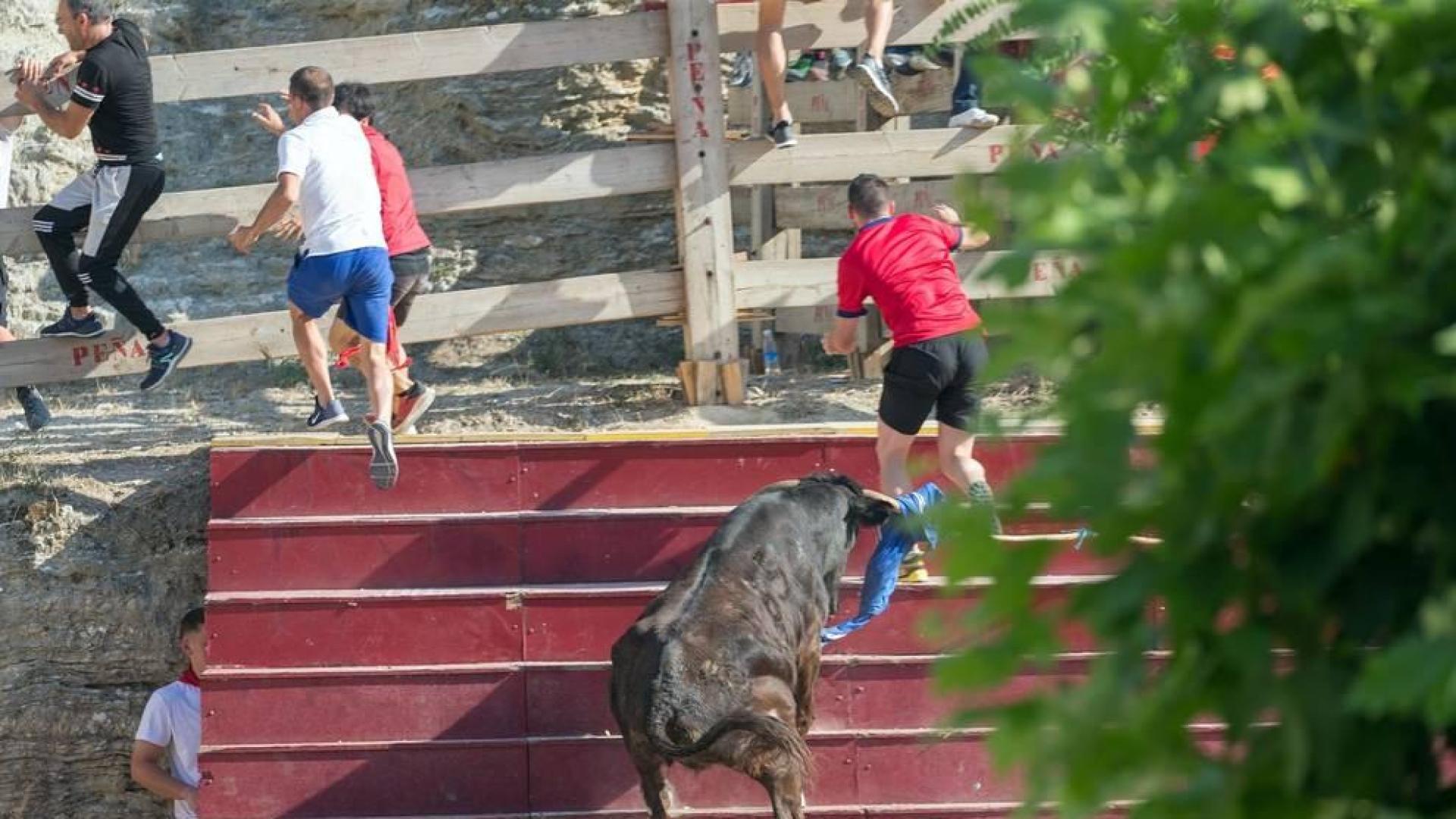 Todas las fotos del encierro del Estrecho de Arguedas 2019 en Diario de Navarra