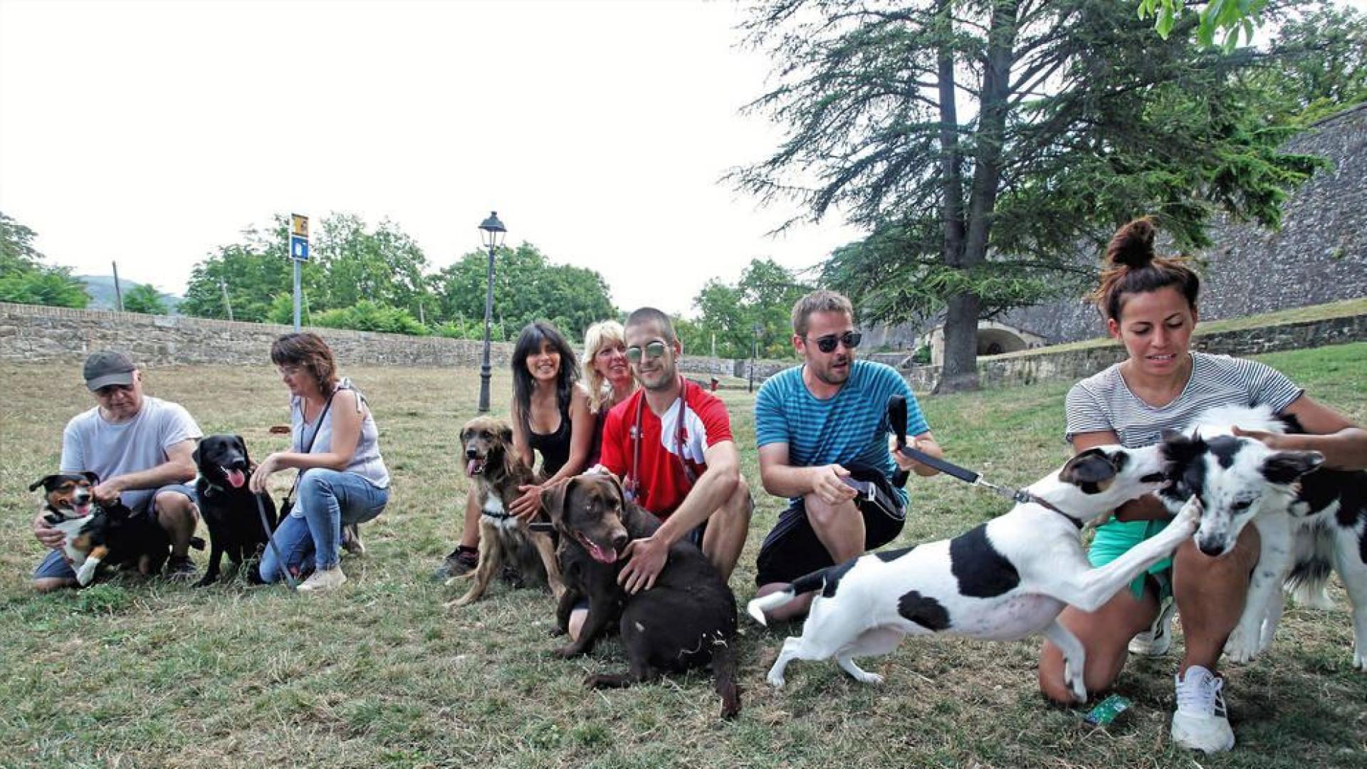 SOS desde el recinto canino de lo viejo