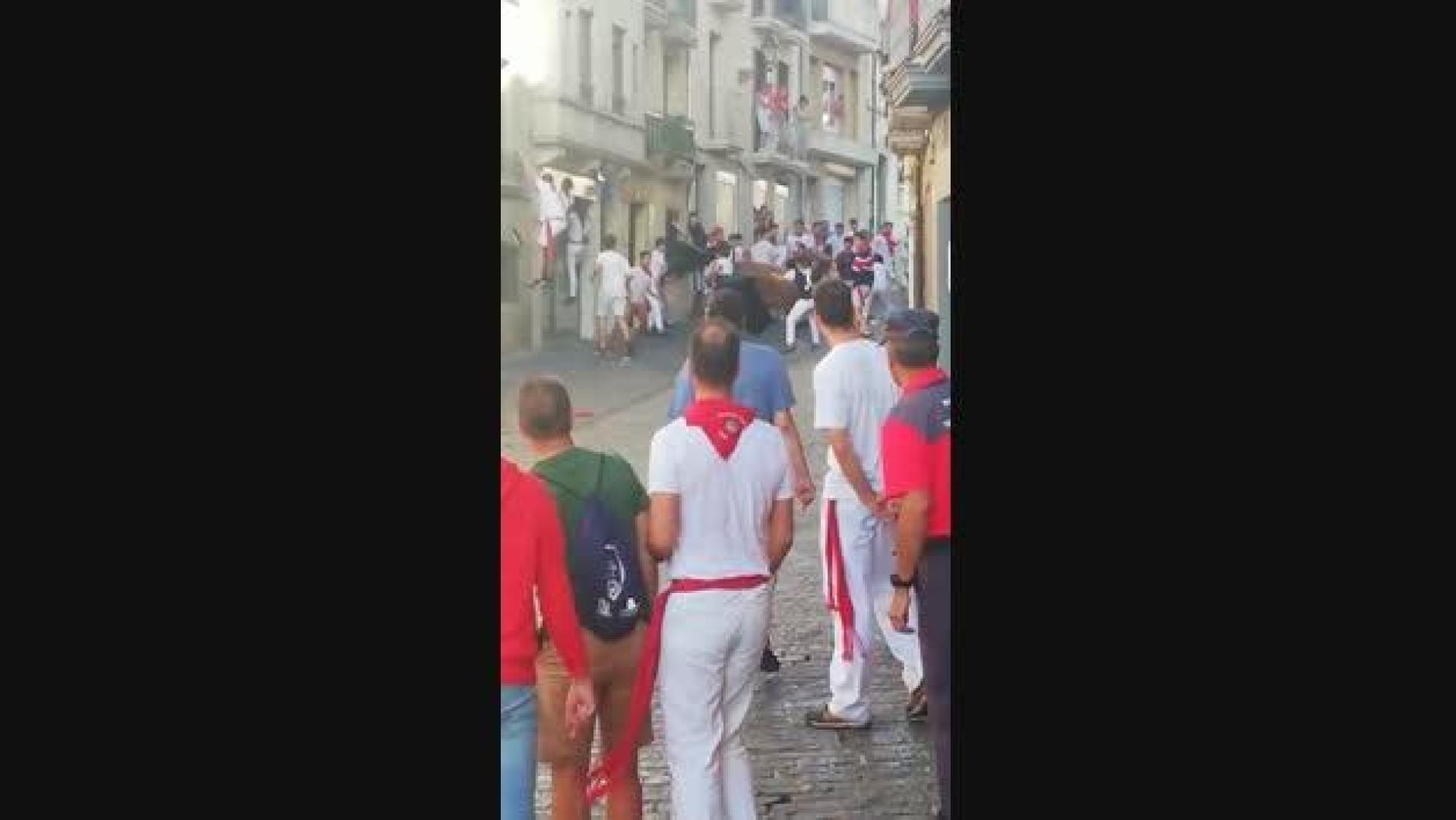 Último encierro de fiestas de Estella