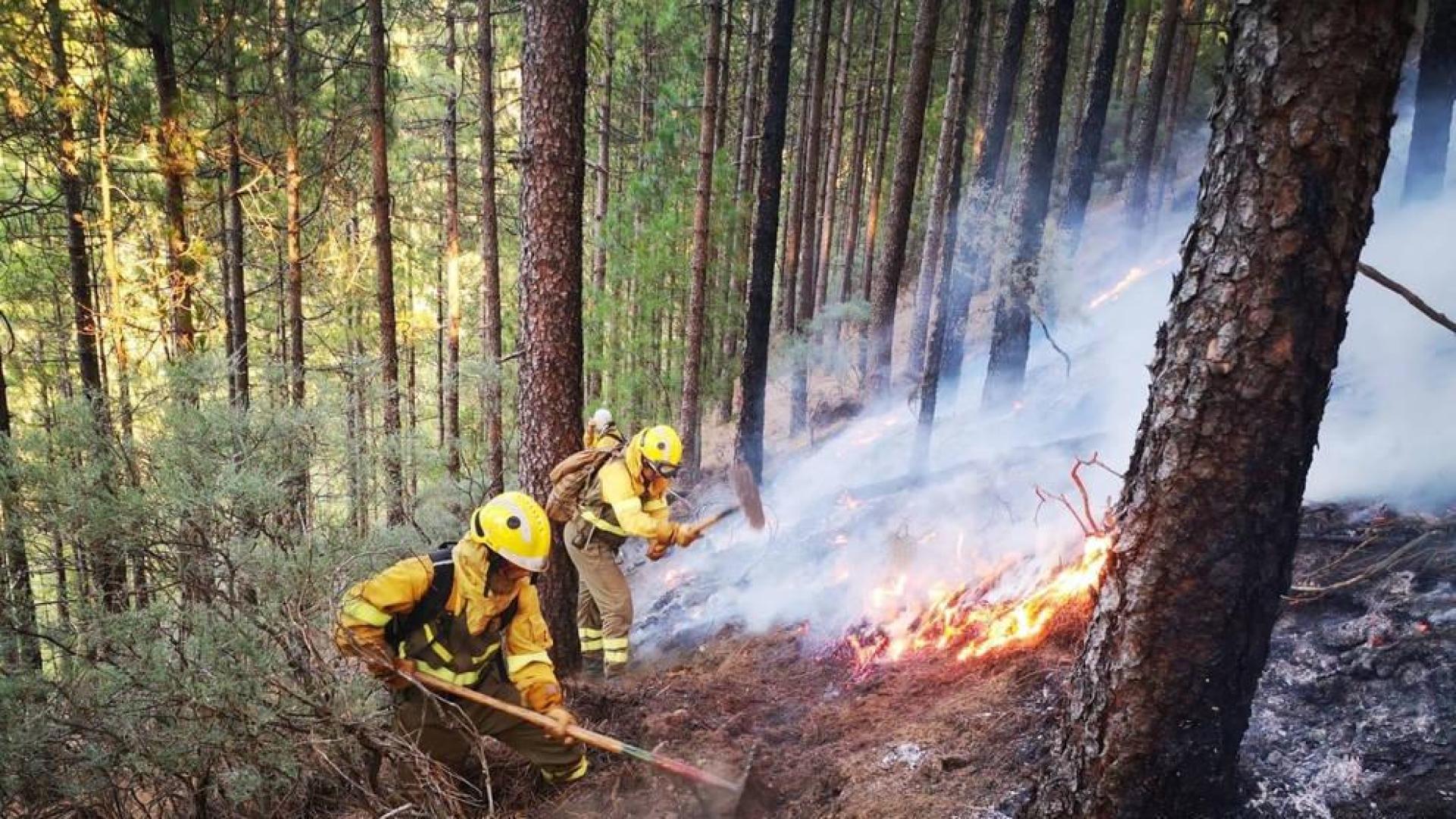 Efectivos de la BRIF de Puntagorda intervienen en las labores de extinción del incendio de Gran Canaria