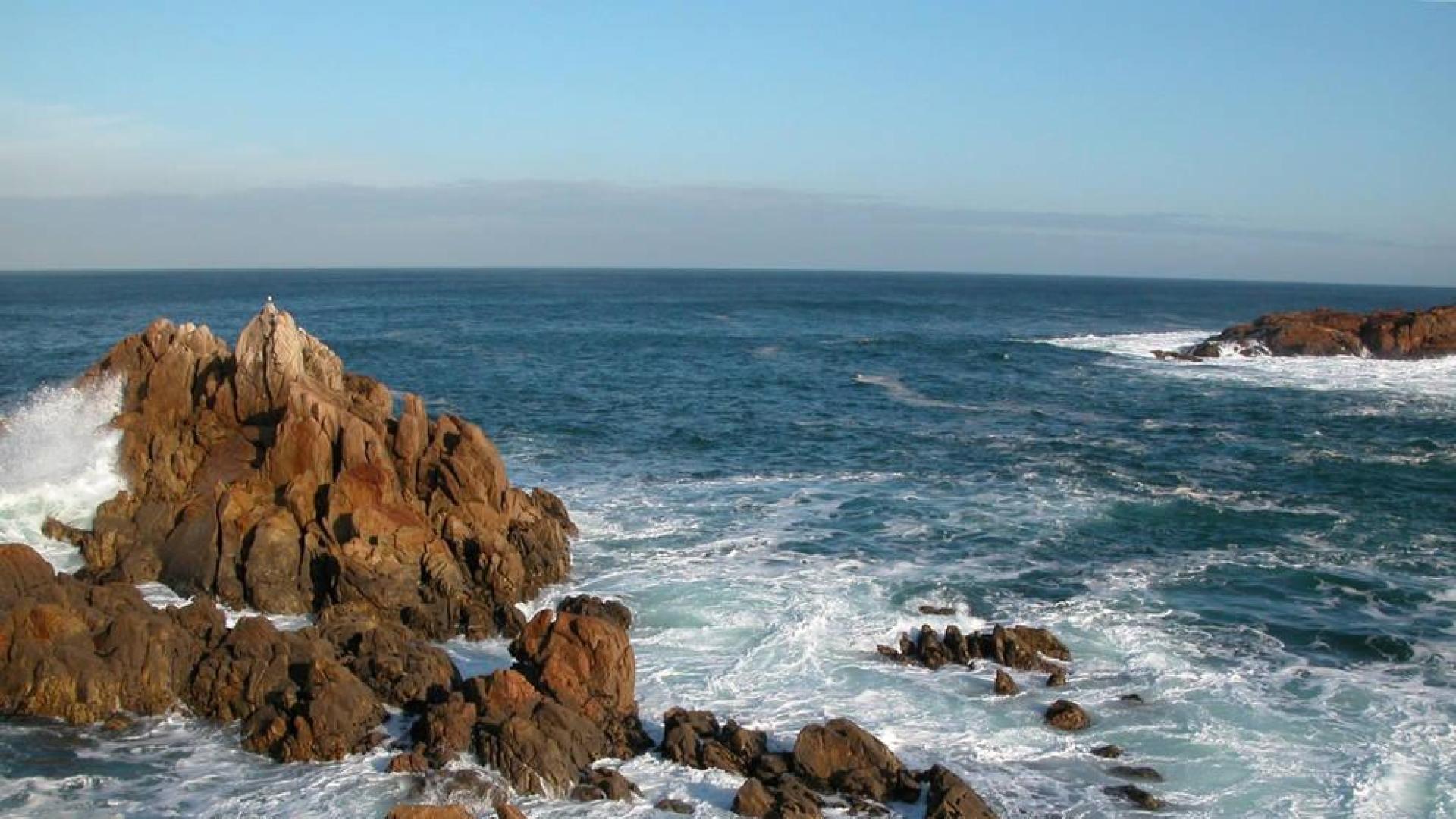 Alertan de que el mar Cantábrico vuelve a estar tan caliente como el Mediterráneo