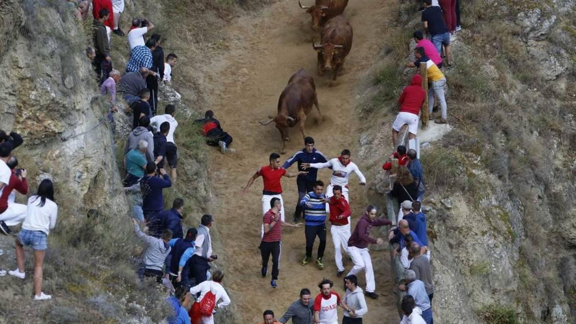 El primer encierro del Pilón de Falces se estrena