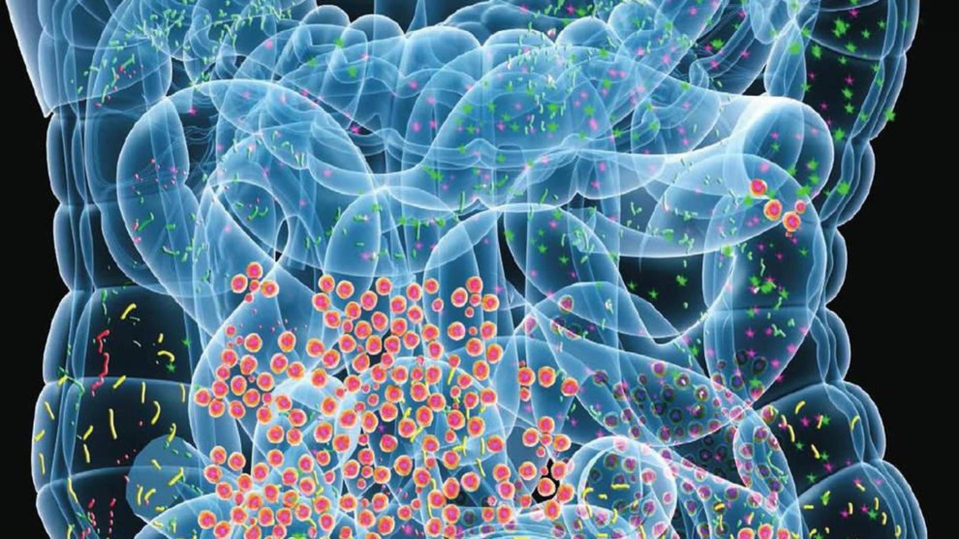 Todos somos microbios