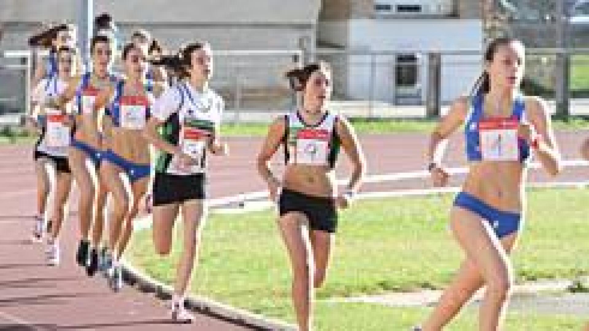 Navarra subvenciona a sus federaciones deportivas con 1,8 millones de euros