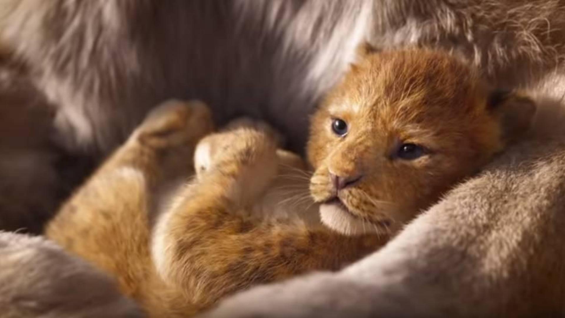 El primer adelanto de la nueva película de 'El Rey León' arrasa en visitas
