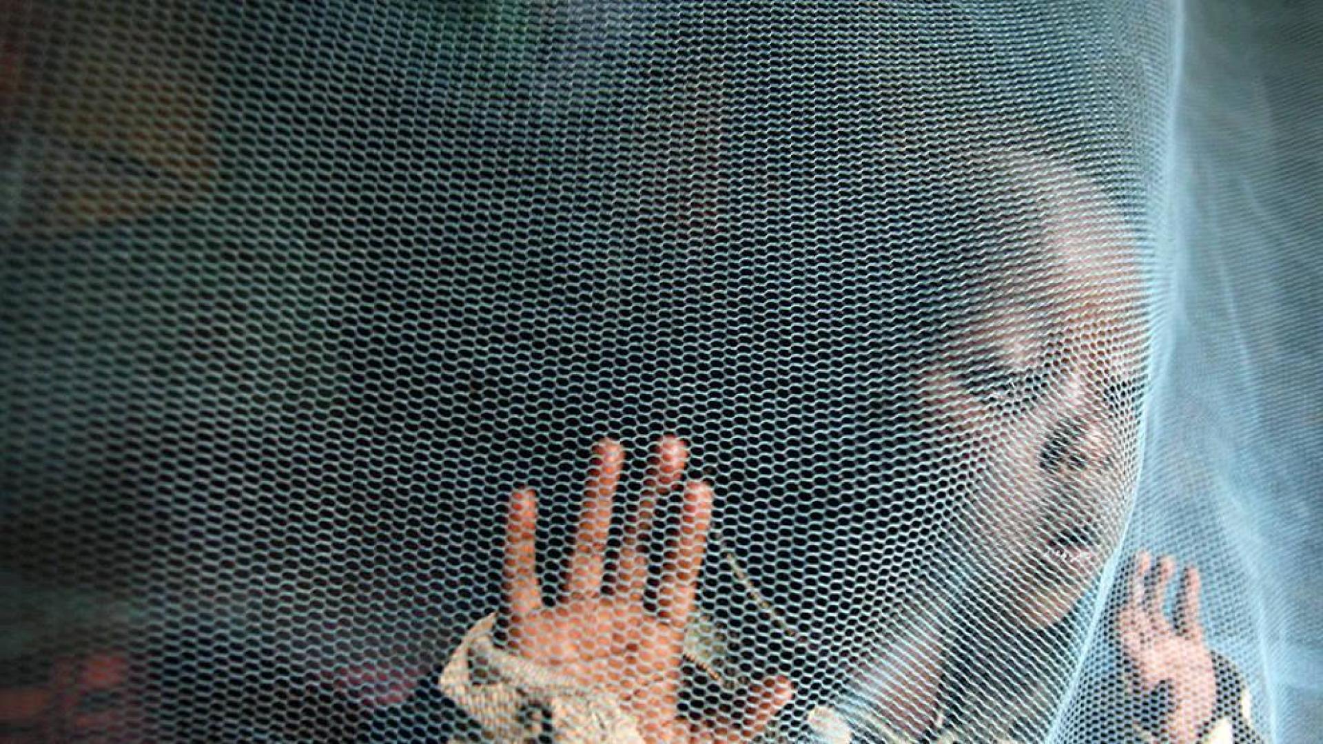 Ghana, Kenia y Malaui probarán en 2018 la primera vacuna contra la malaria