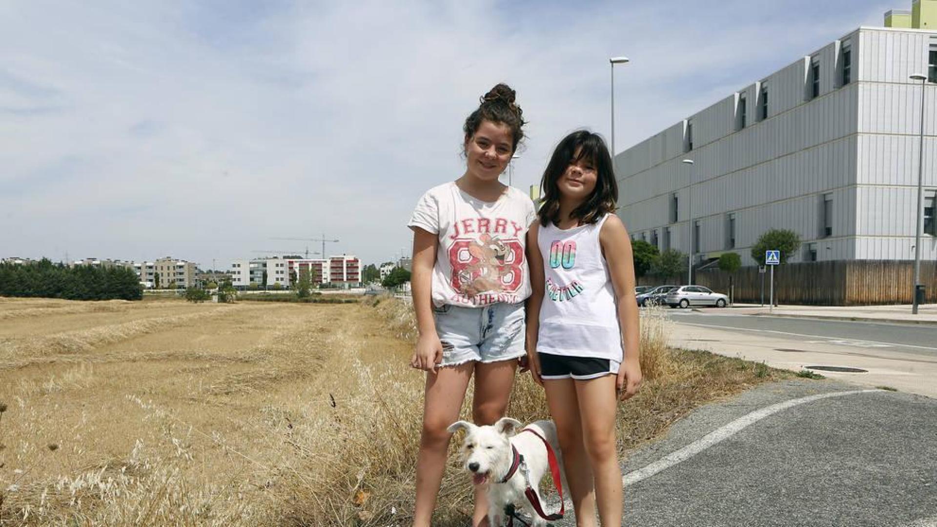 Una perra sobrevive a la mordedura de una víbora en Ardoi