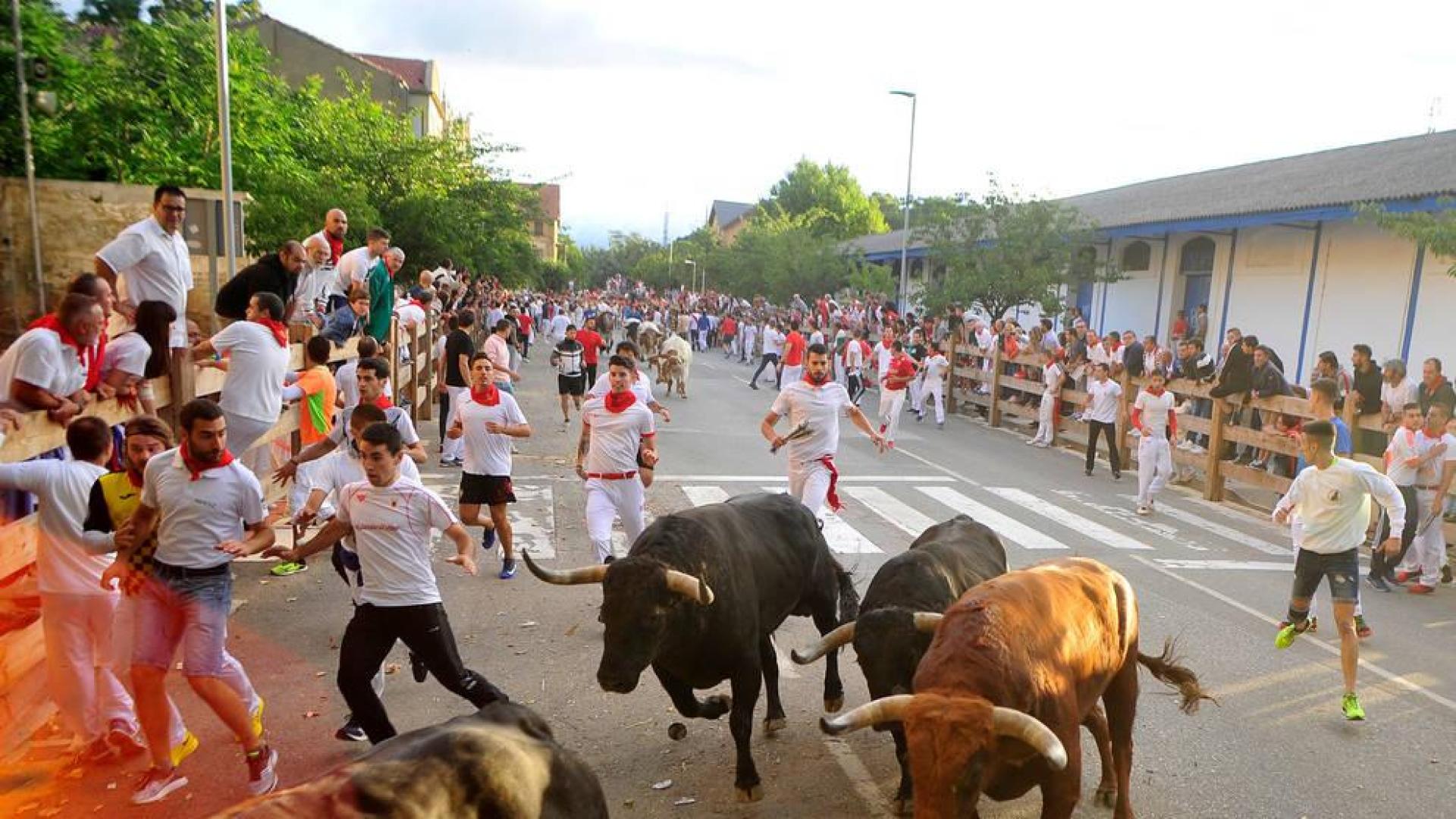 Tres heridos por contusiones en un primer encierro rápido, en fiestas de Tafalla