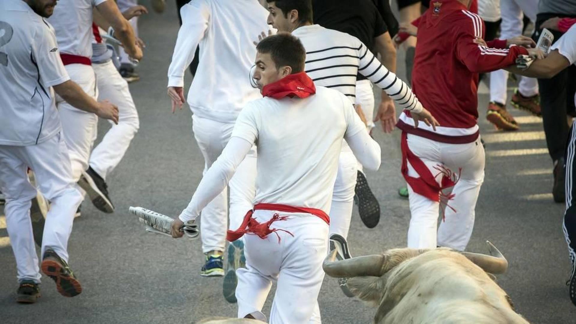 Todas las fotos de las fiestas de Tafalla 2019