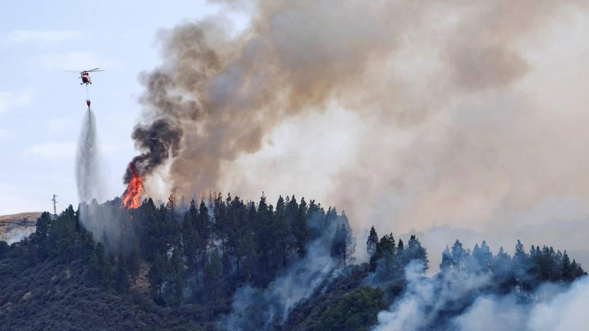 Declarado el Nivel 2 del incendio de Valleseco (Gran Canaria)