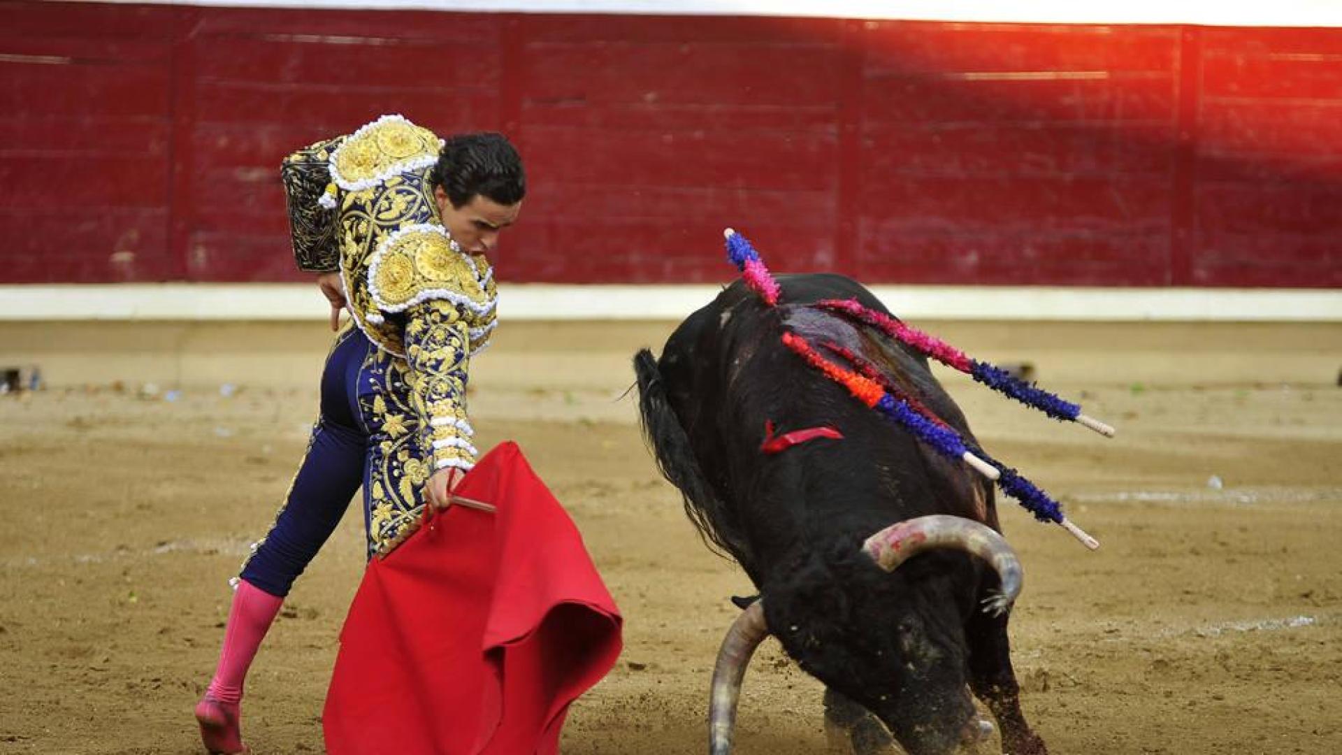 Joaquín Galdós da un derechazo al mejor toro de la corrida de Buenavista, Gallero, al que cortó dos orejas.