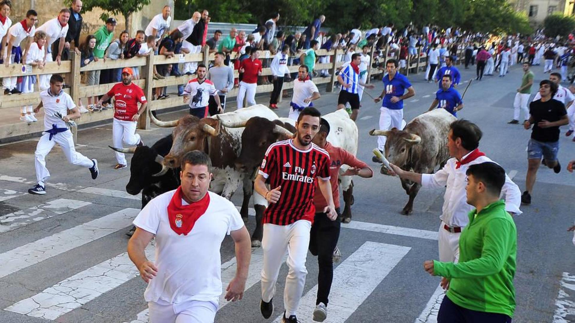 Rápido cuarto encierro sin heridos de consideración en las fiestas de Tafalla