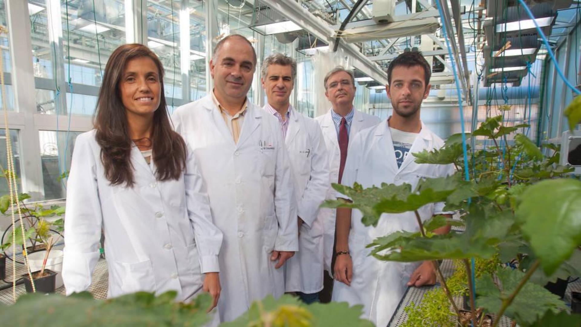 Científicos de la UN desarrollan una tecnología para fabricar nuevos fertilizantes