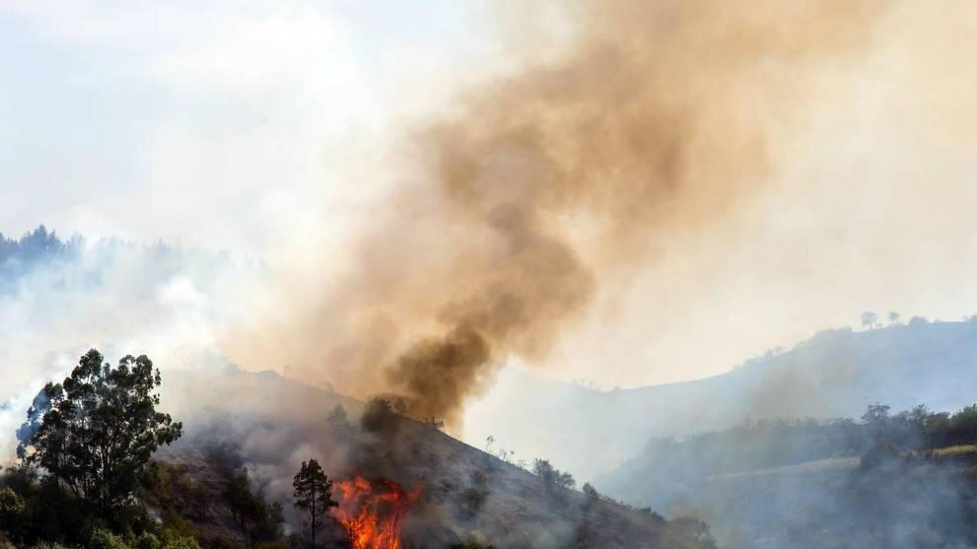 El incendio de Gran Canaria se descontrola y amenaza el parque natural de Tamadaba