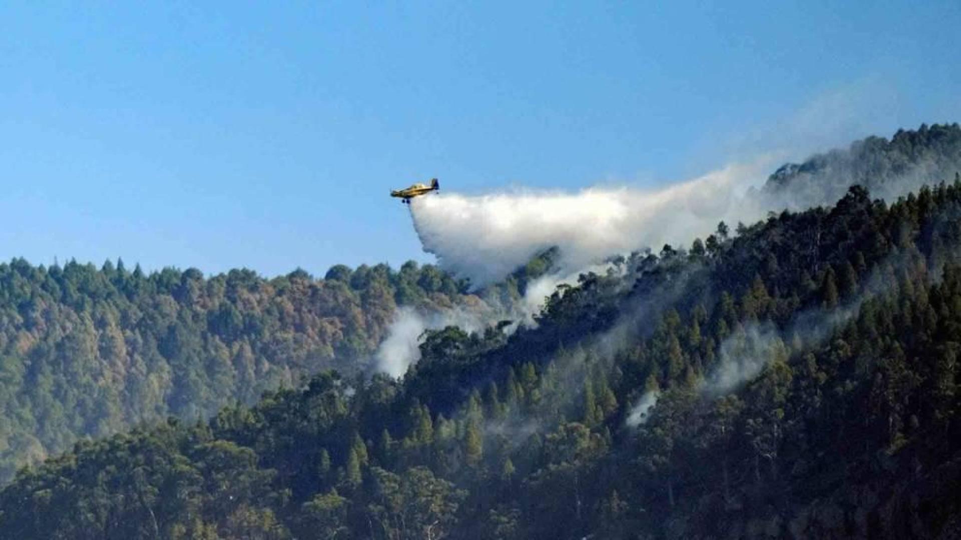 El incendio de Gran Canaria quedará estabilizado este miércoles