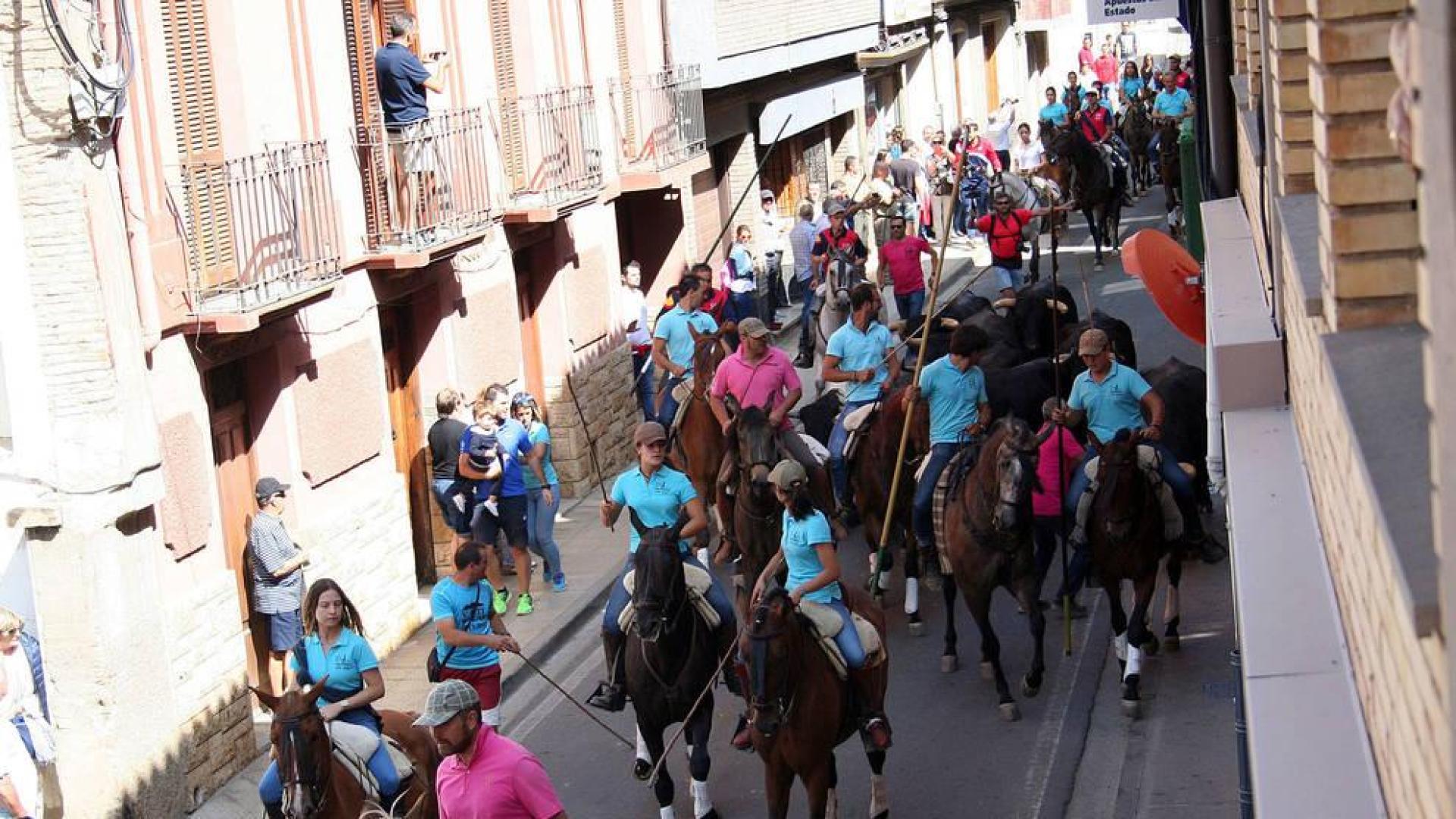 Imagen de la conducción de ganado celebrada el pasado año.
