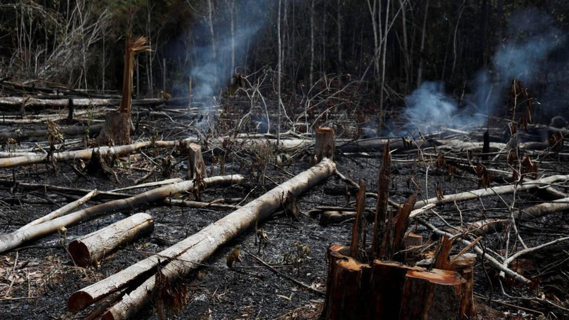 El mundo exige salvar la Amazonia, "pulmón del planeta" asfixiado en llamas
