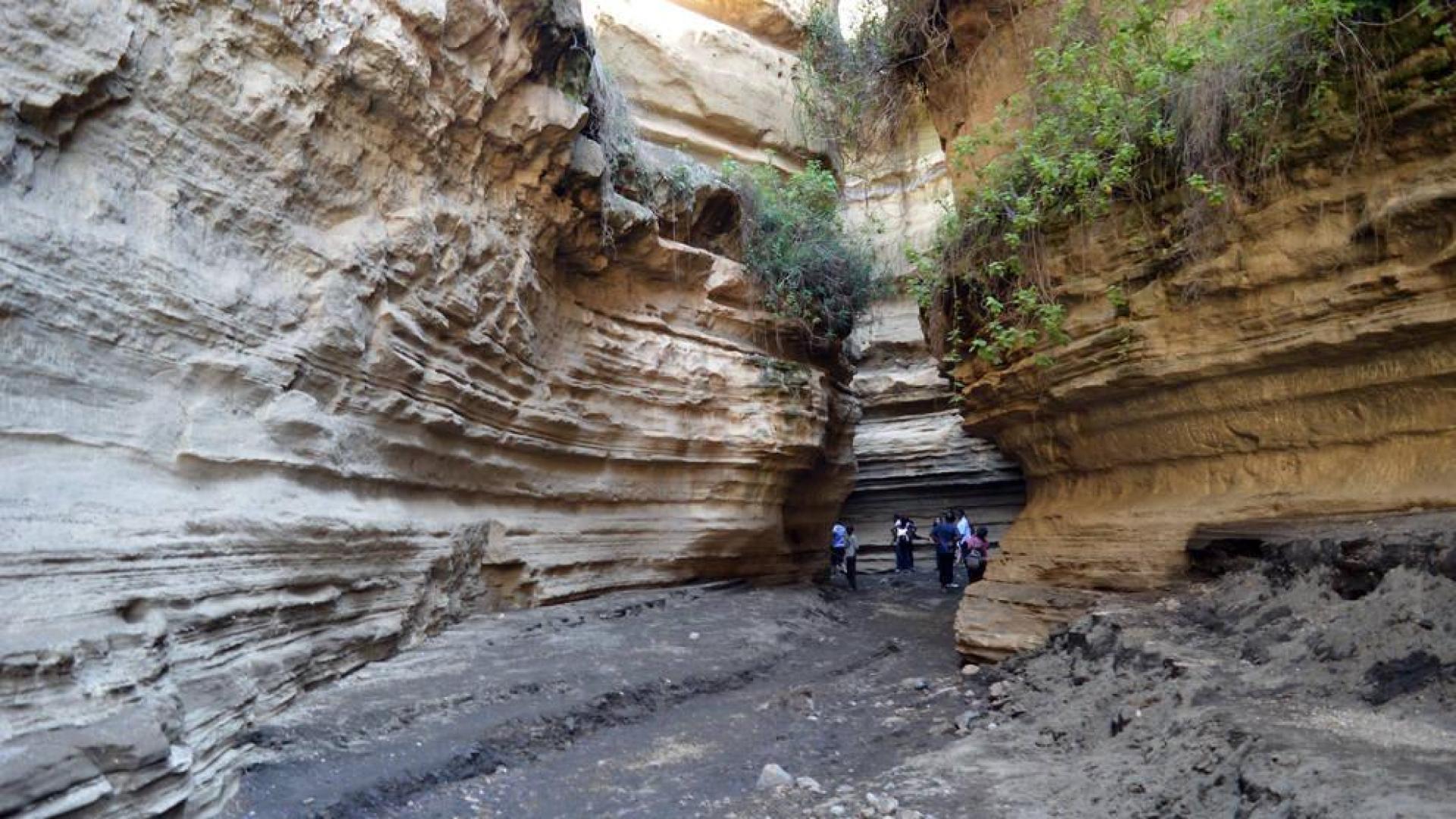 Mueren 5 turistas y un guía tras las riadas en un famoso parque nacional de Kenia