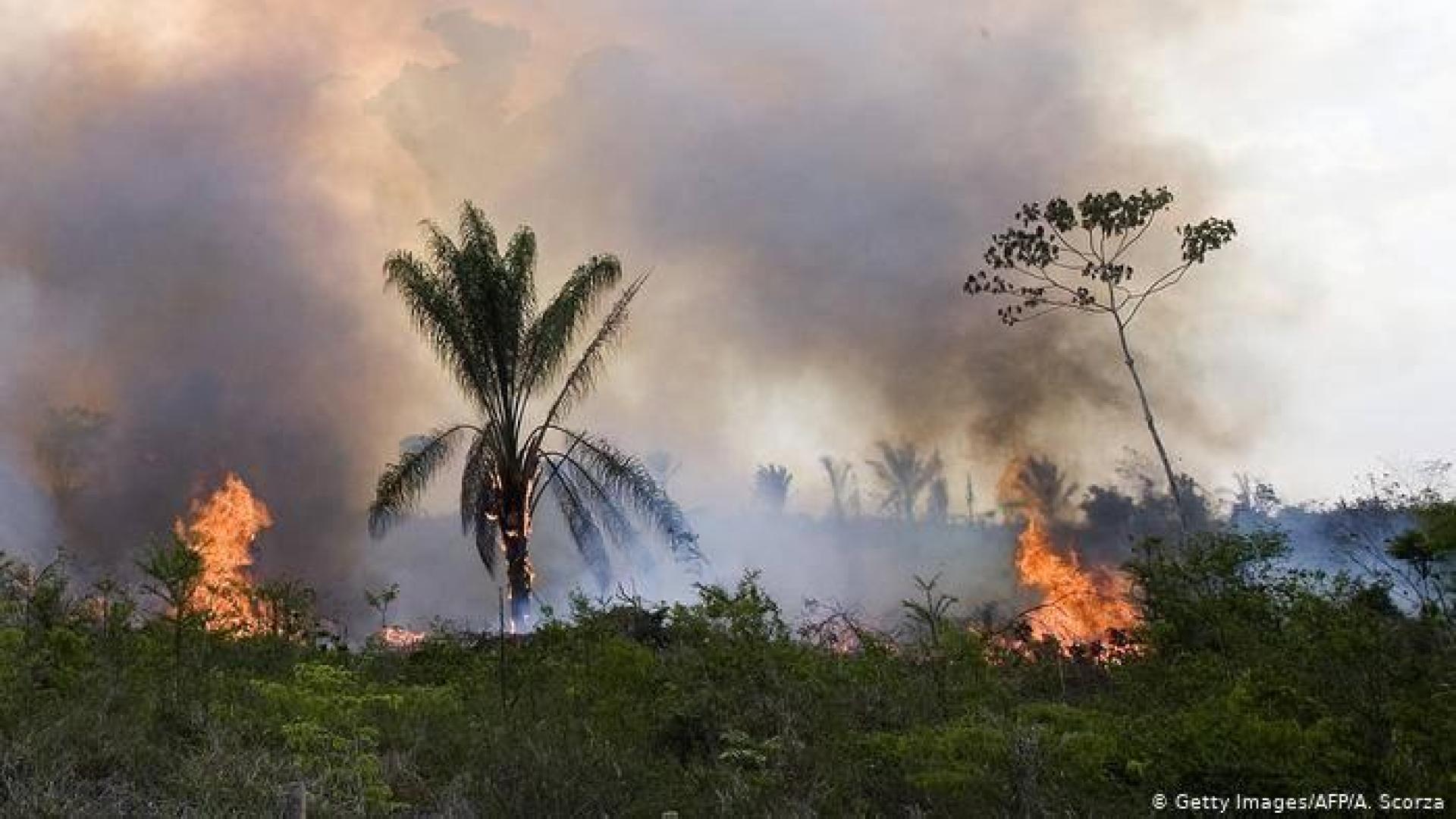 Cientos de personas llaman a rezar por el Amazonas ante los incendios