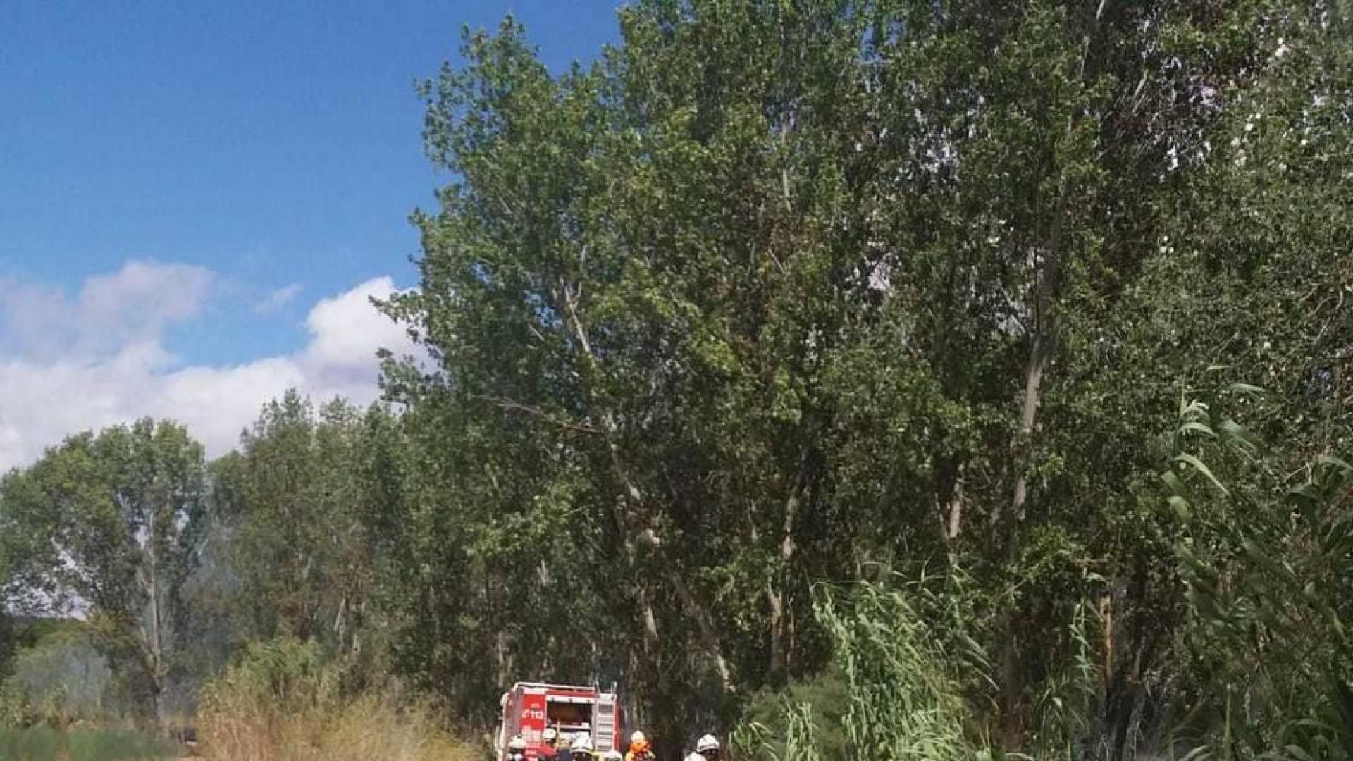 Controlado un incendio junto al río Ebro entre Lodosa y Sartaguda