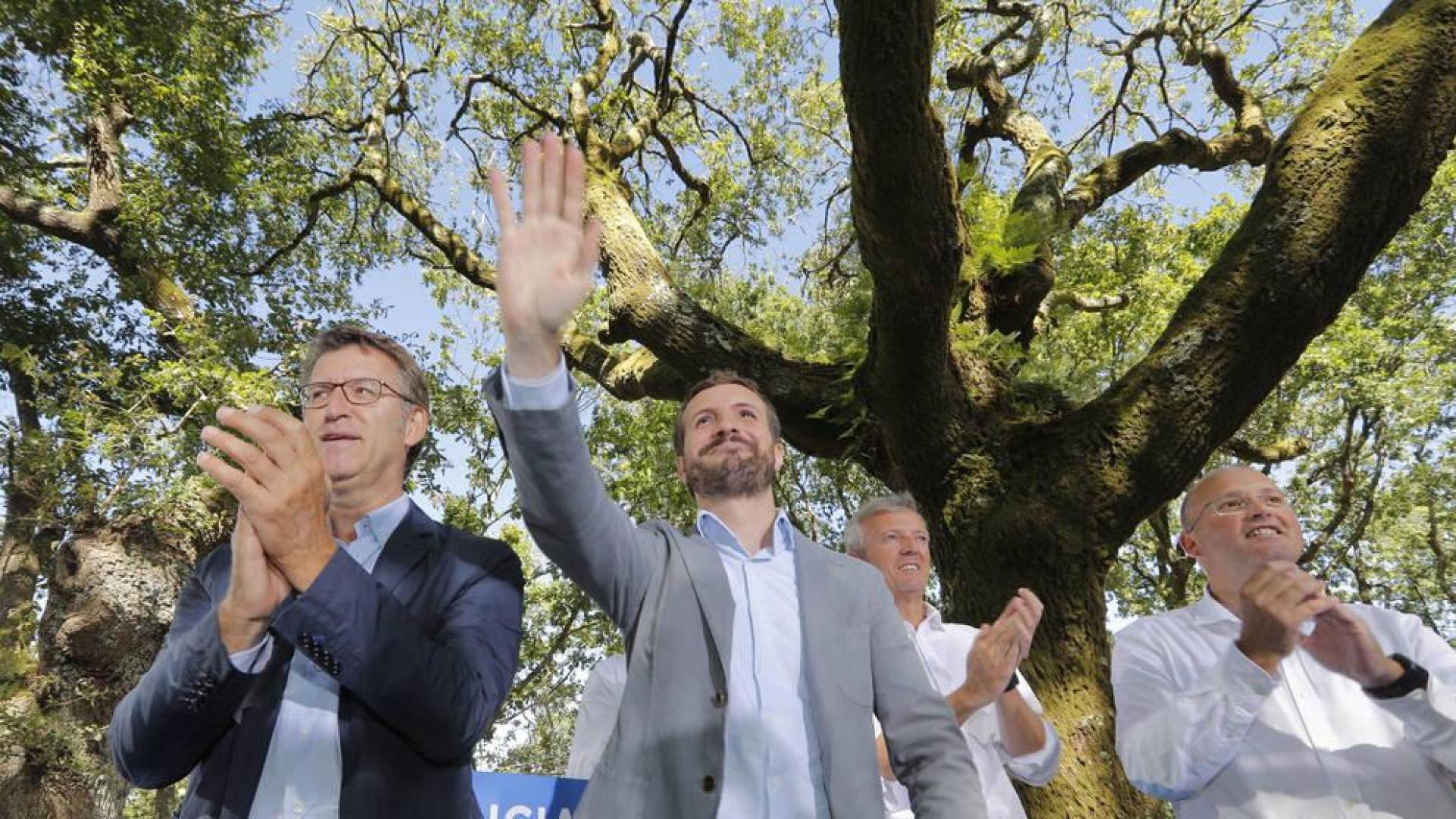 El presidente del Partido Popular, Pablo Casado (c), y el presidente de la Xunta de Galicia, Alberto Núñez Feijoo (i).