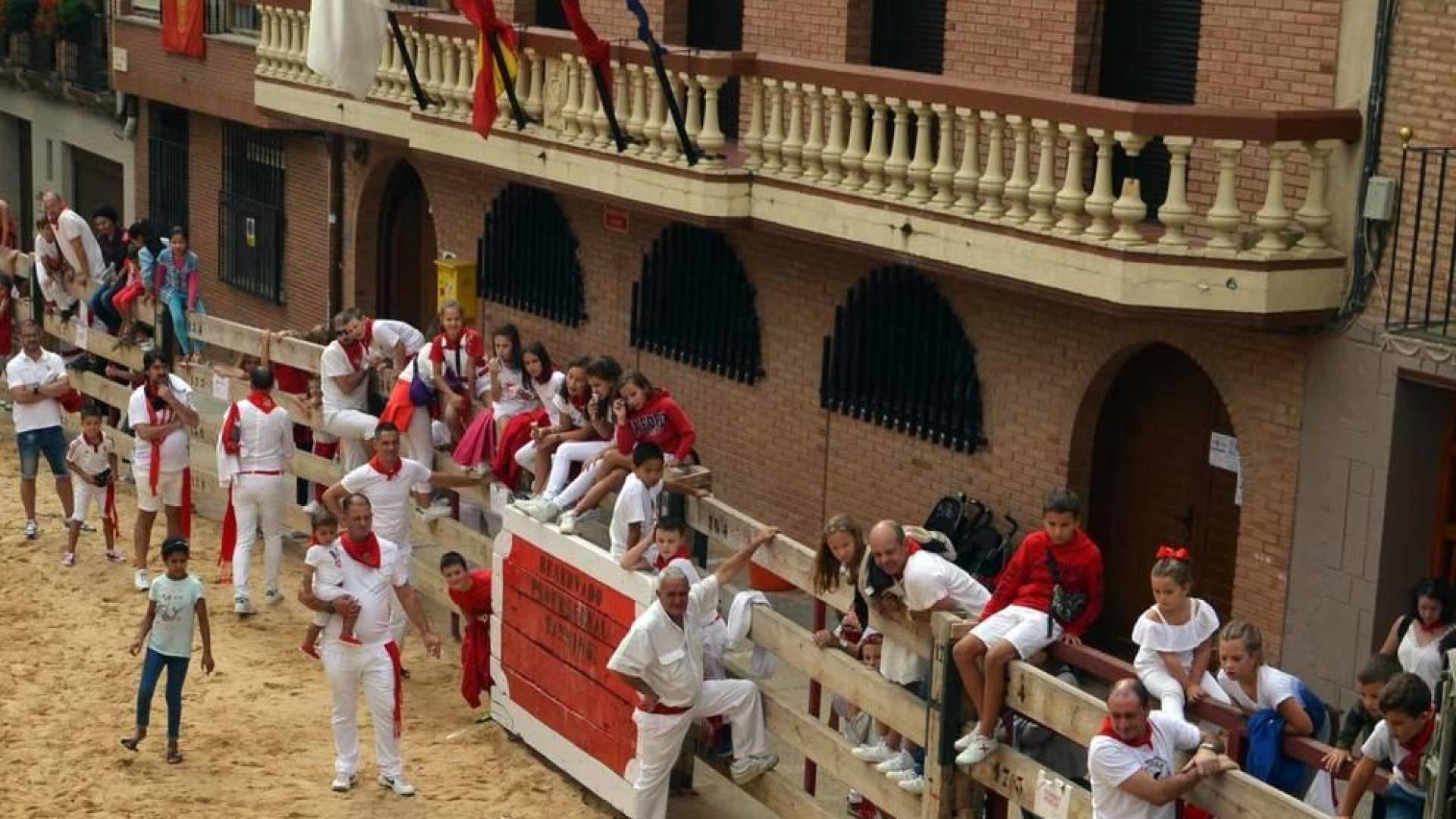 El Ayuntamiento infantil, con Álex Zubicaray, de 12 años, a la cabeza, presidió las actividades del Día del Niño.