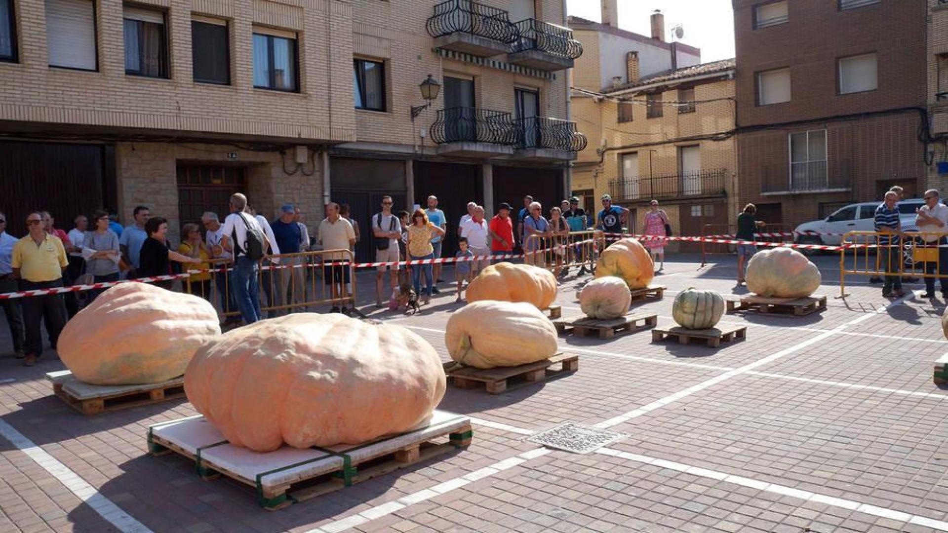 Septiembre regala la singular Feria de Calabazas Gigantes de Navarra
