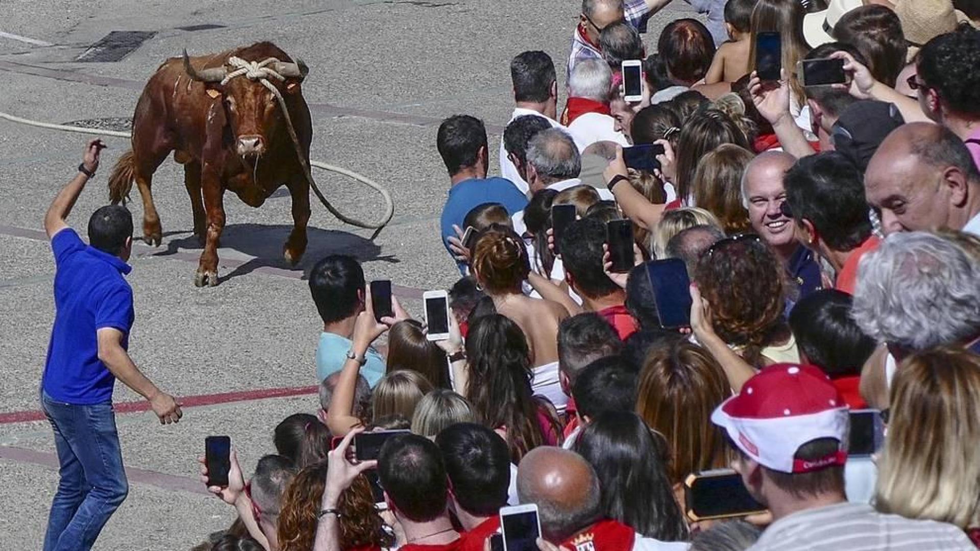 Fotos de las fiestas de Lodosa del día de 13 septiembre.