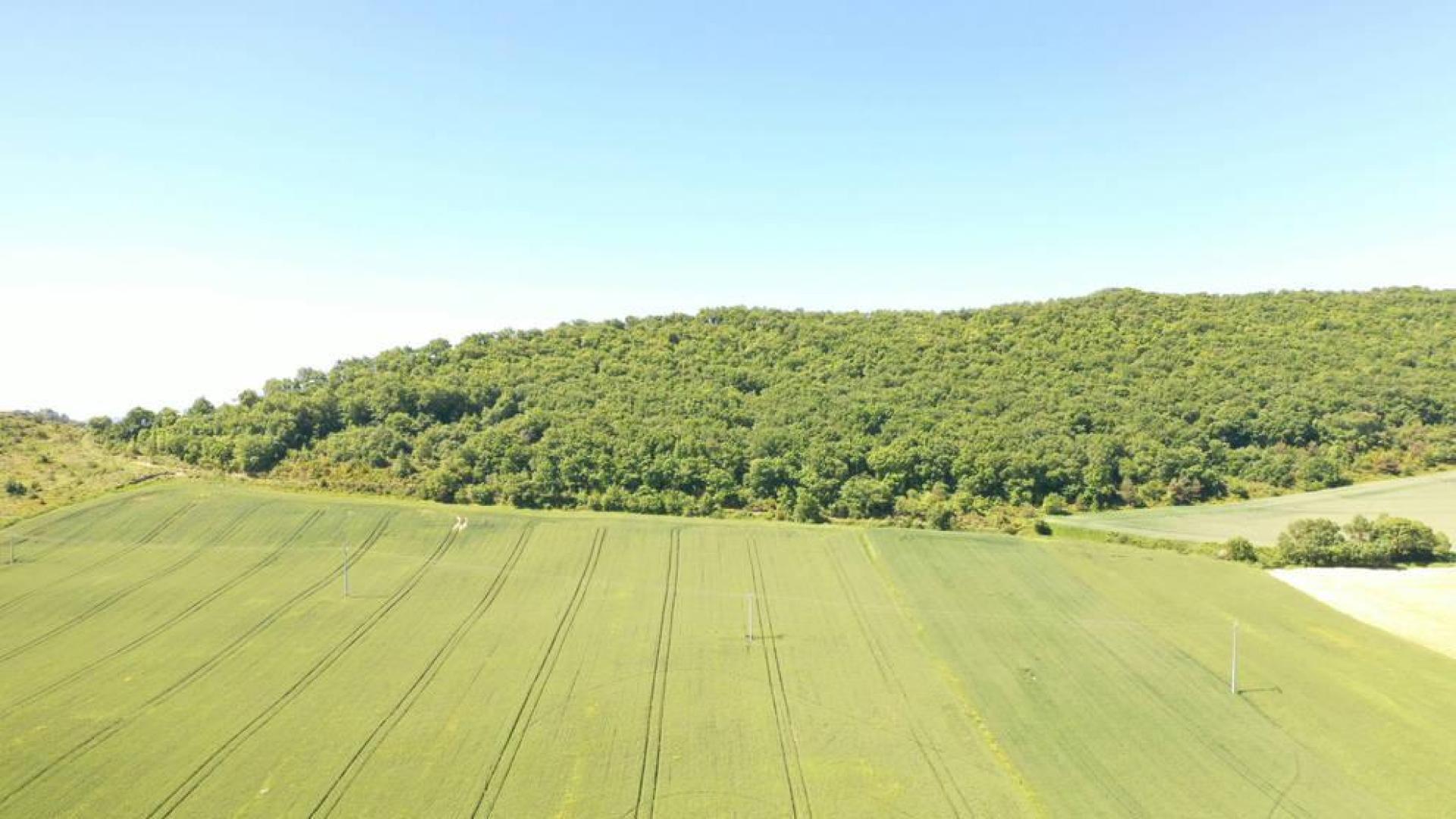 Los drones del campo